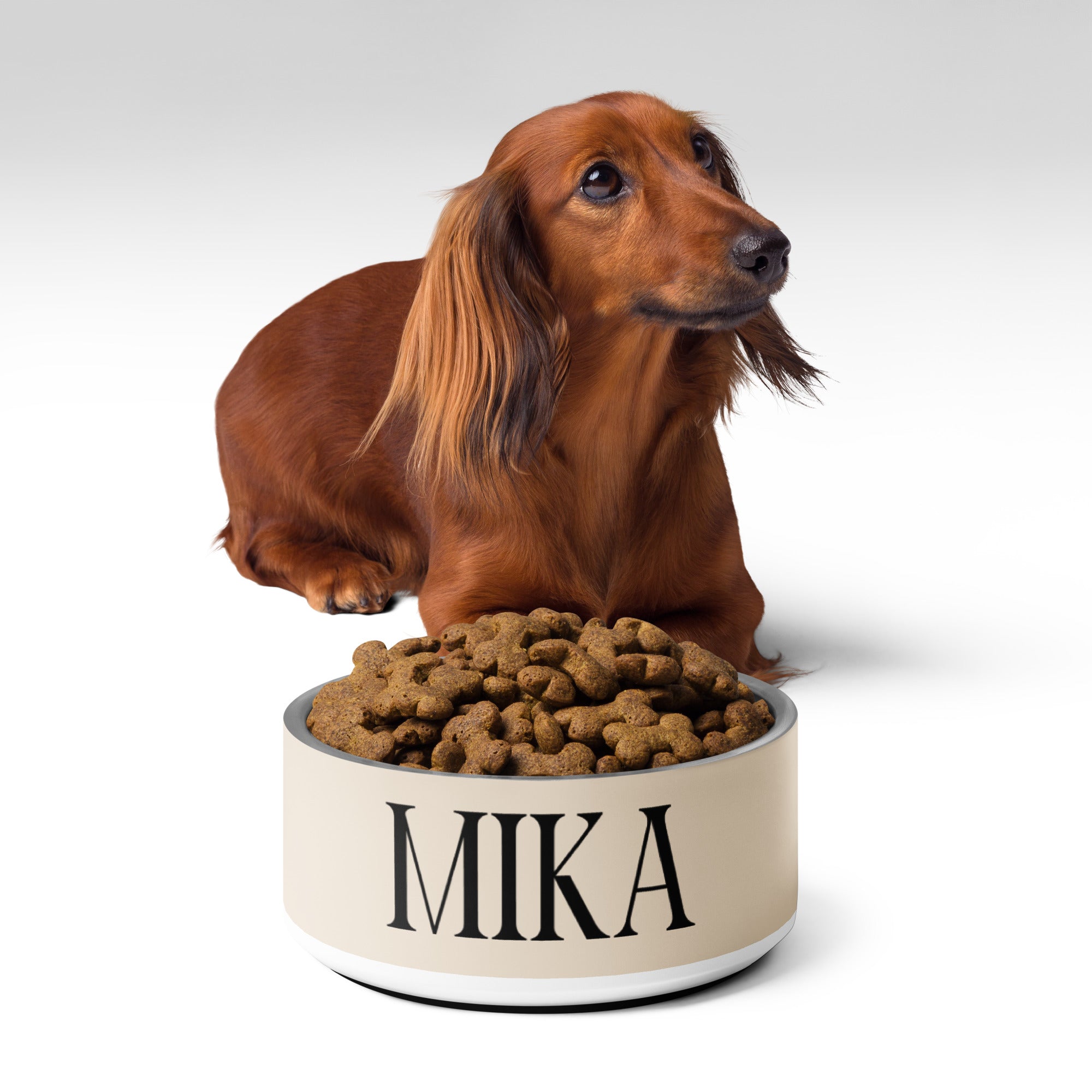 A reddish brown Weiner dog with a bowl full of food. The bowl has the dog's name. The dog's name is Mika.