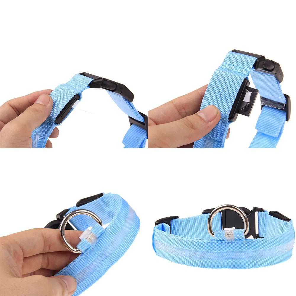 LED Adjustable Dog Collar Blinking Flashing Light up Glow