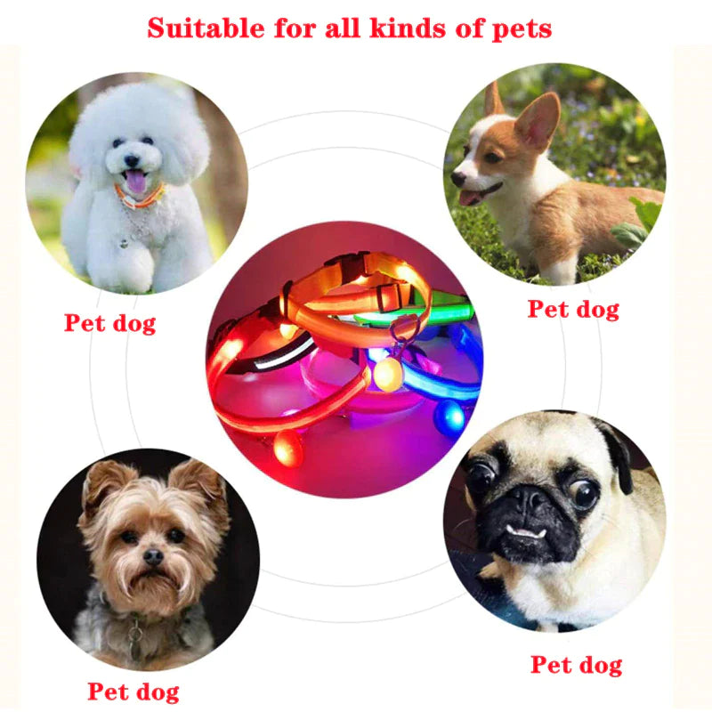 LED Adjustable Dog Collar Blinking Flashing Light up Glow