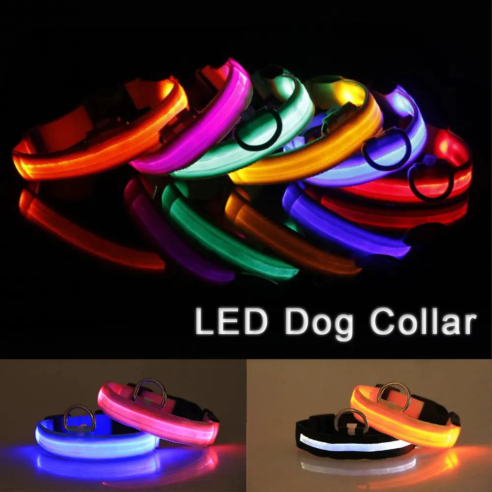 LED Adjustable Dog Collar Blinking Flashing Light up Glow