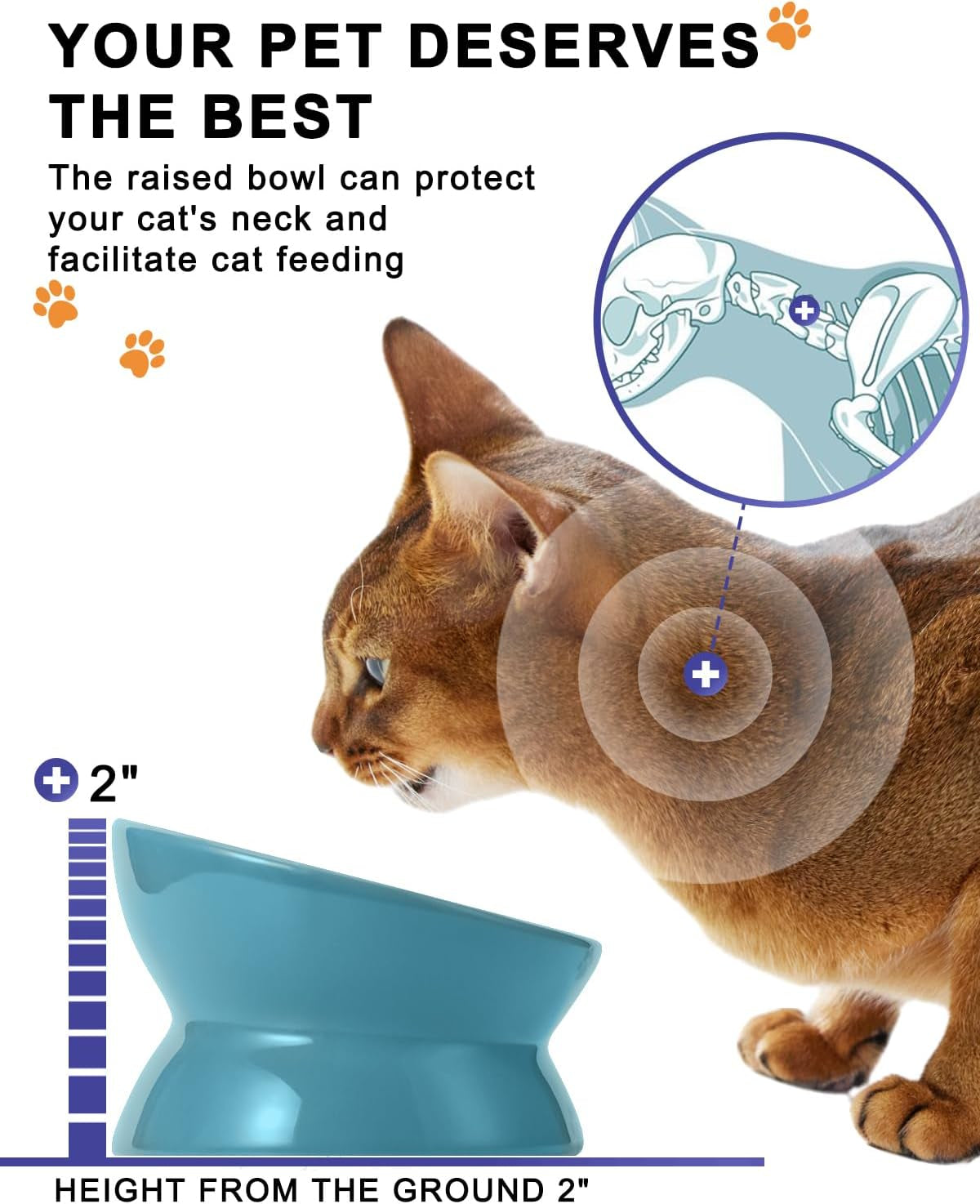 Elevated Cat Food Bowl, Ceramic Raised Cat Bowl, Tilt Angle Protect Cat's Spine