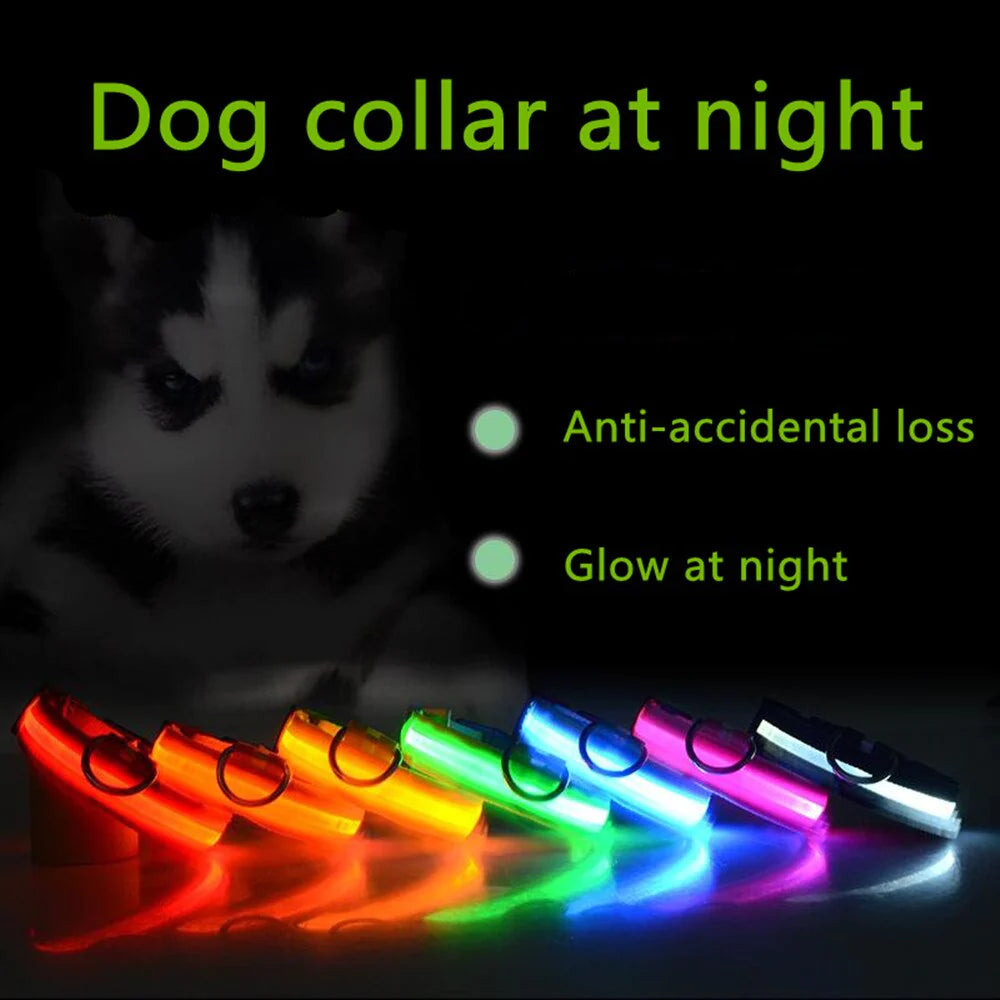 LED Adjustable Dog Collar Blinking Flashing Light up Glow