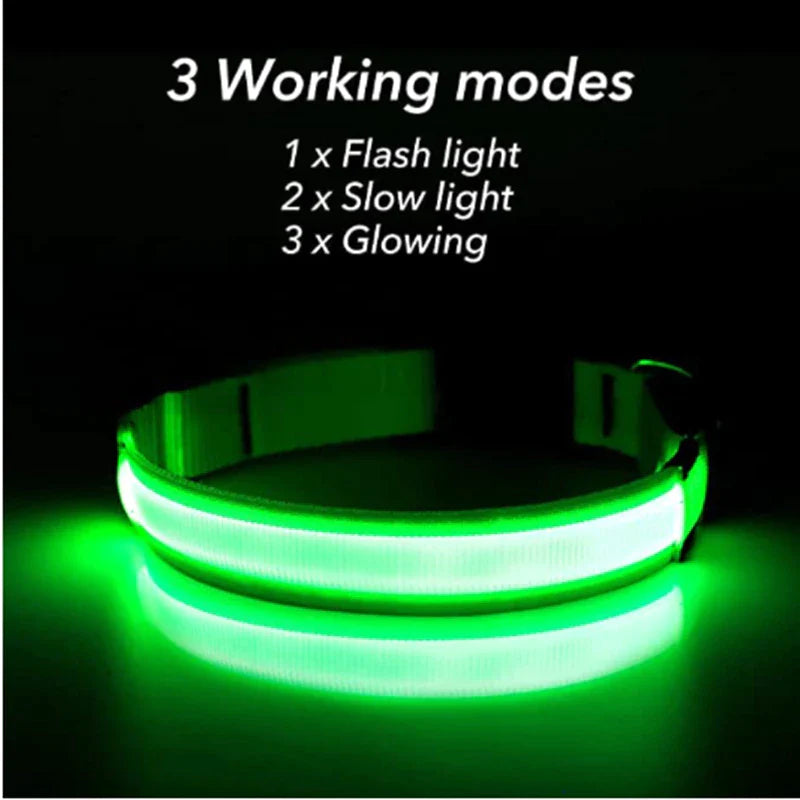 LED Adjustable Dog Collar Blinking Flashing Light up Glow