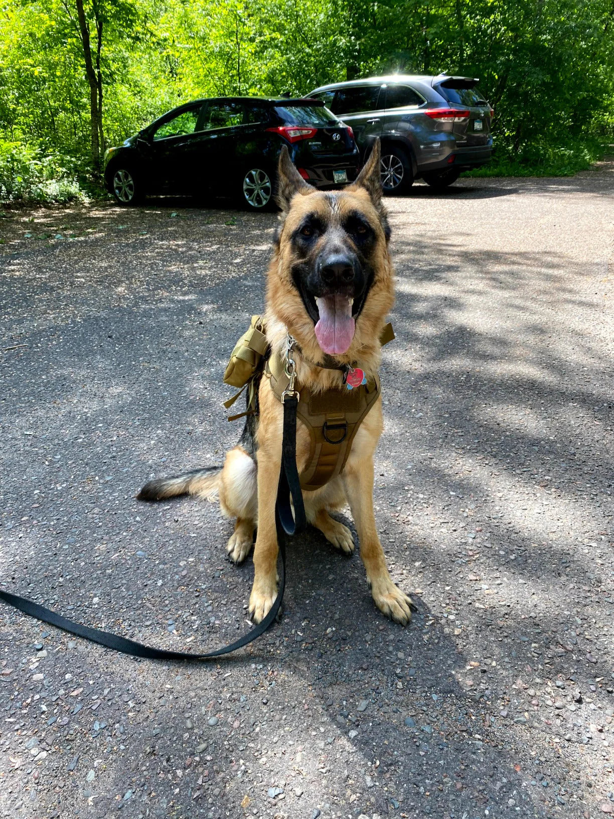 Tactical Dog Harness with 6 Metal Buckles for Large or Medium Dogs, Dog Vest with Handle for Walking Training Hiking