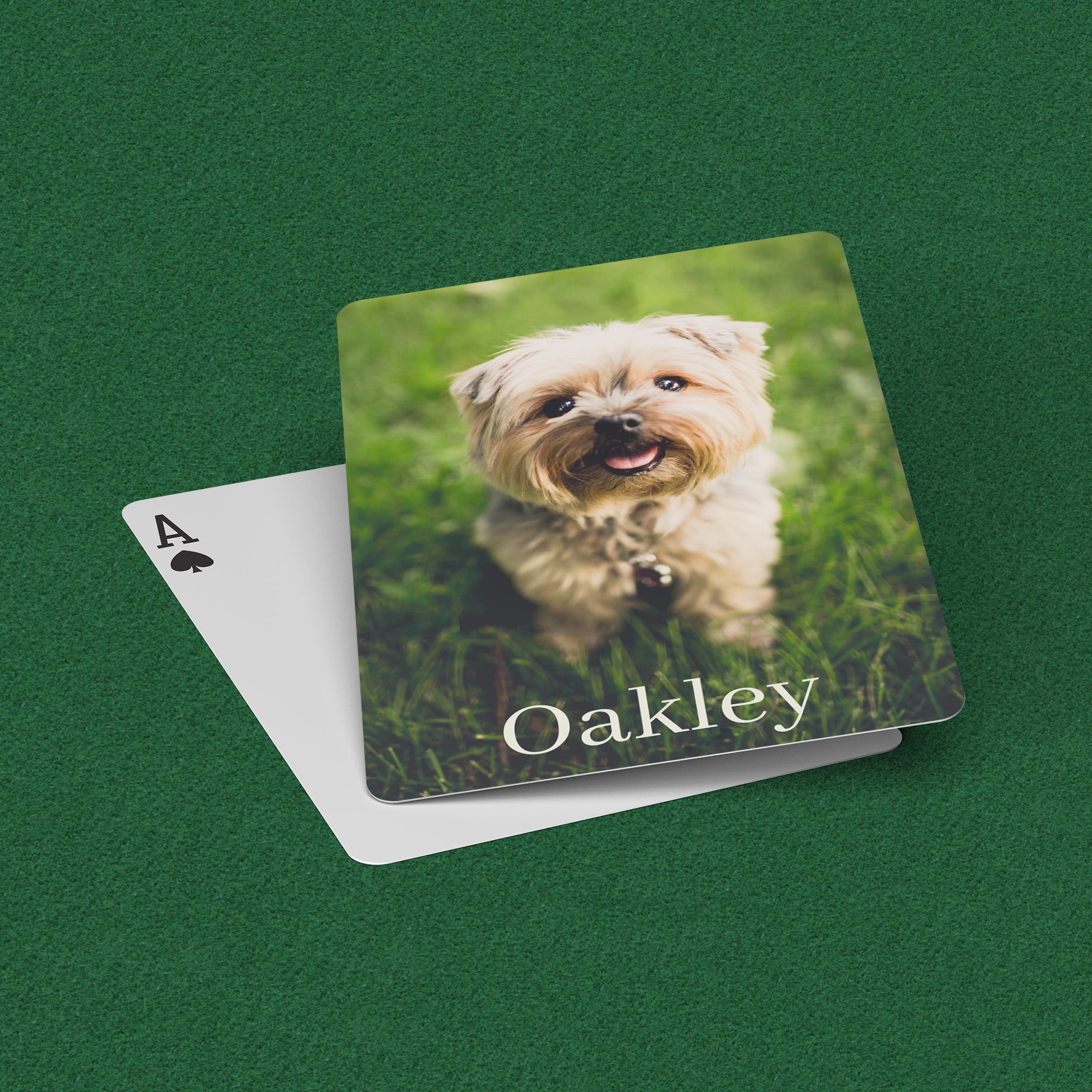 Custom Pet Photo Playing Cards