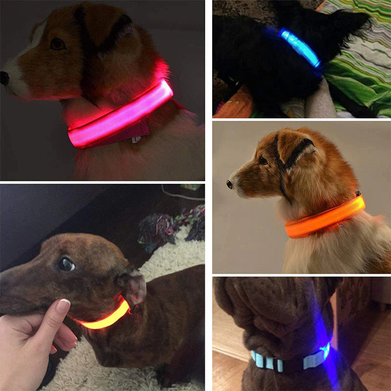 LED Adjustable Dog Collar Blinking Flashing Light up Glow