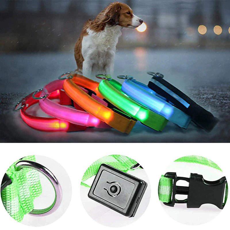 LED Adjustable Dog Collar Blinking Flashing Light up Glow