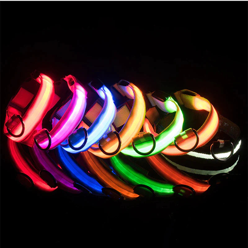 LED Adjustable Dog Collar Blinking Flashing Light up Glow