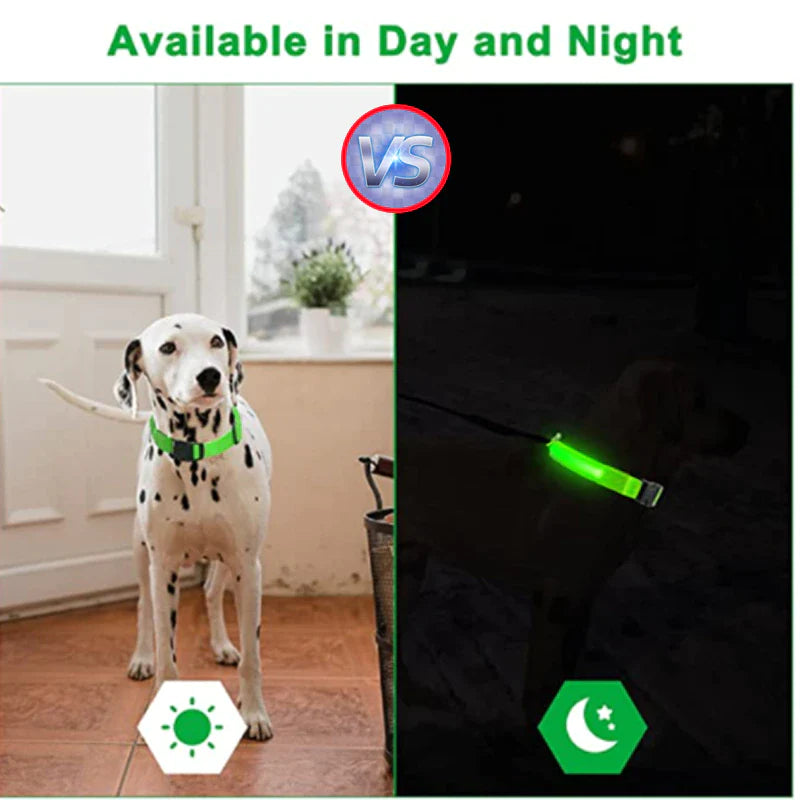 LED Adjustable Dog Collar Blinking Flashing Light up Glow