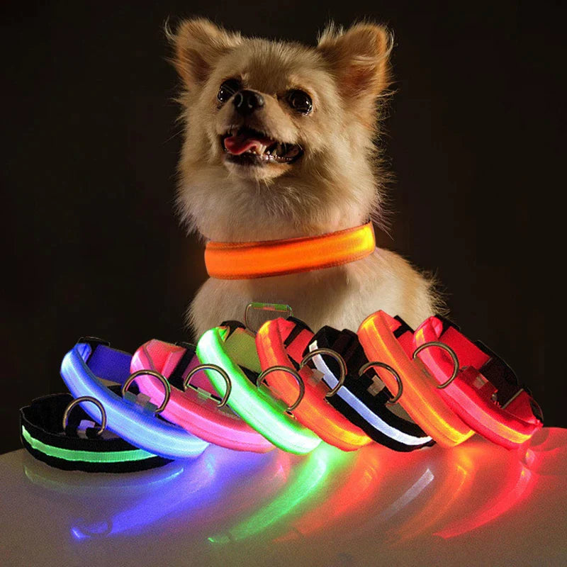 LED Adjustable Dog Collar Blinking Flashing Light up Glow