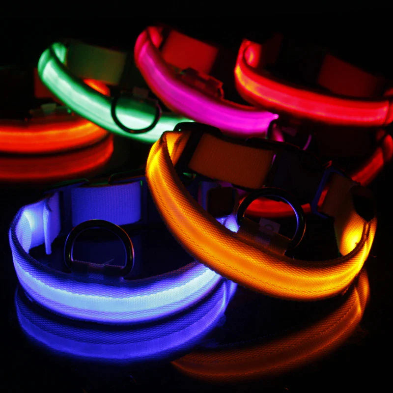 LED Adjustable Dog Collar Blinking Flashing Light up Glow