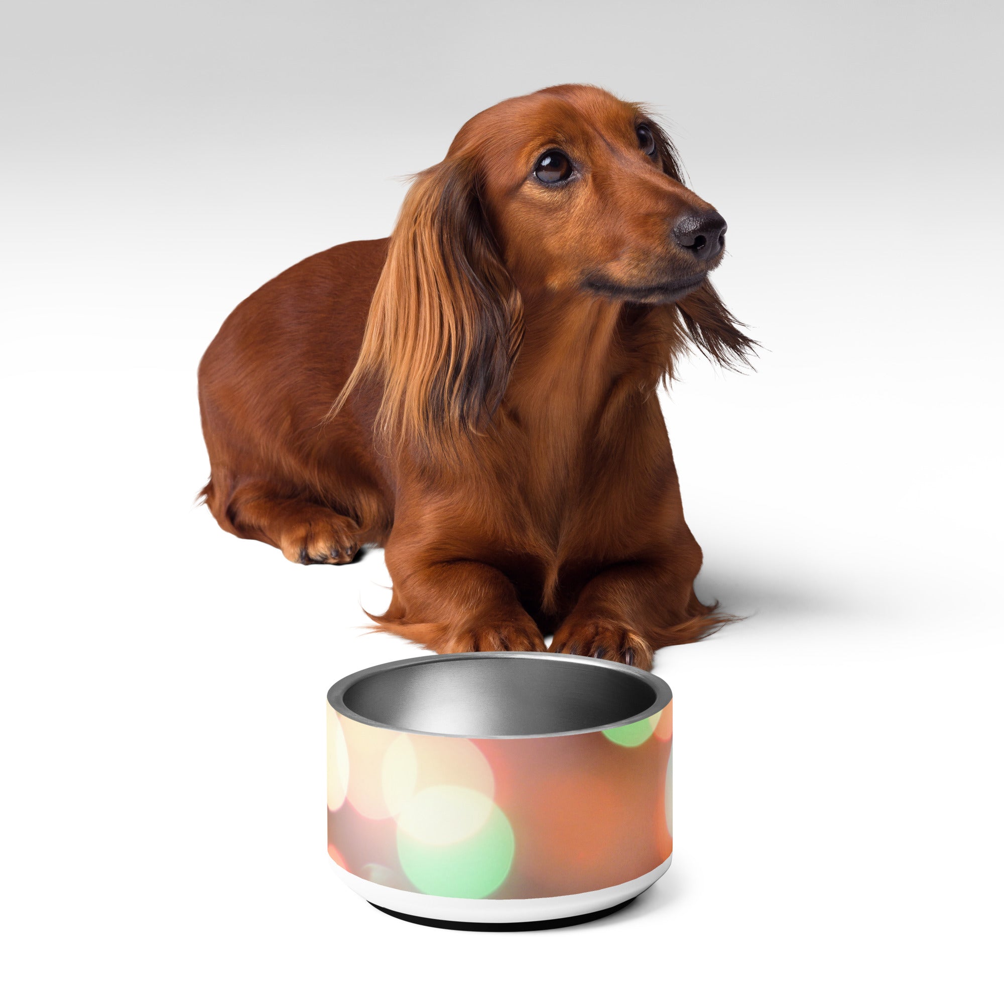 Lights Pet bowl