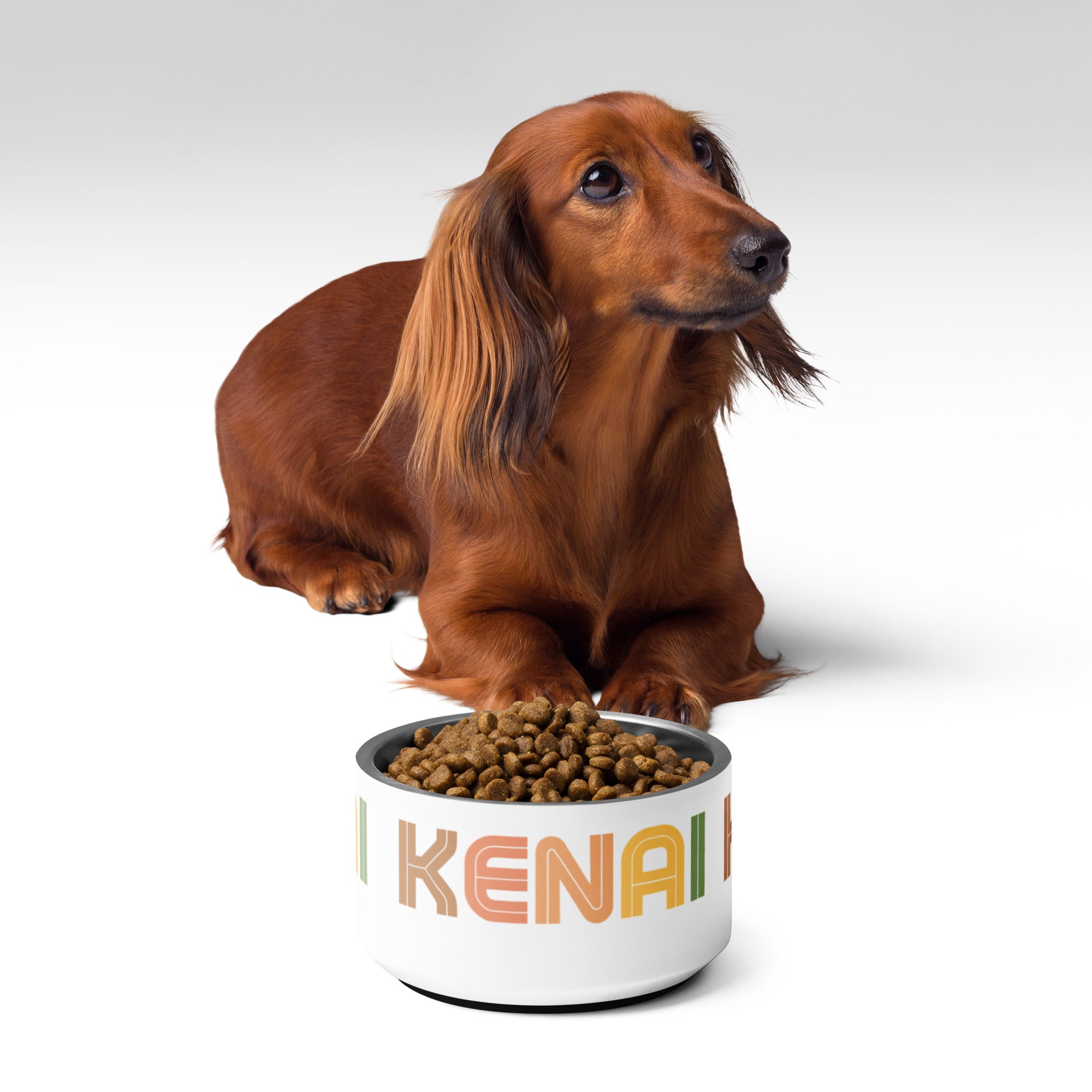 Personalized Warm Colors Font Pet bowl (Customizable)