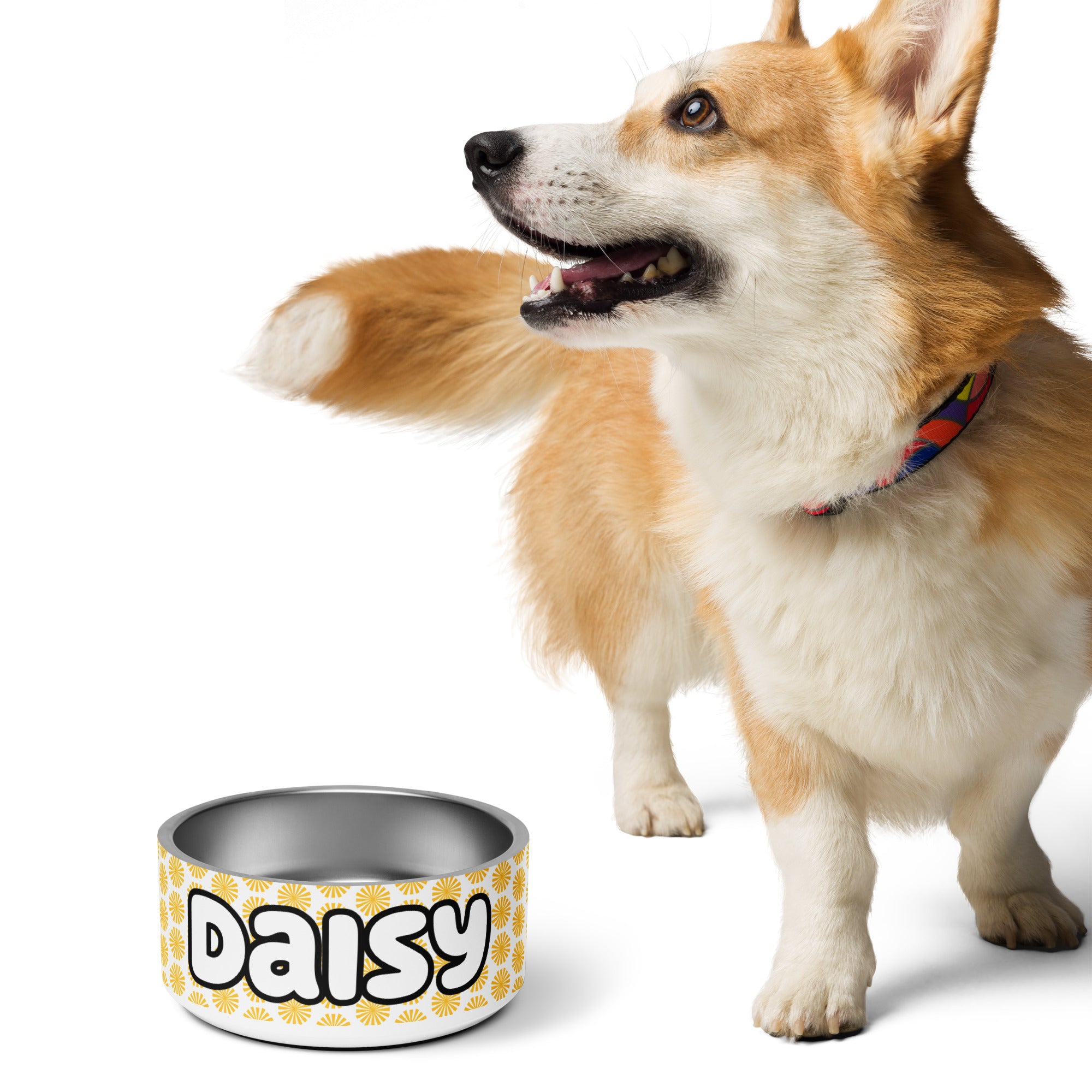 Daisies Personalized Pet Name Bowl Yellow Daisies