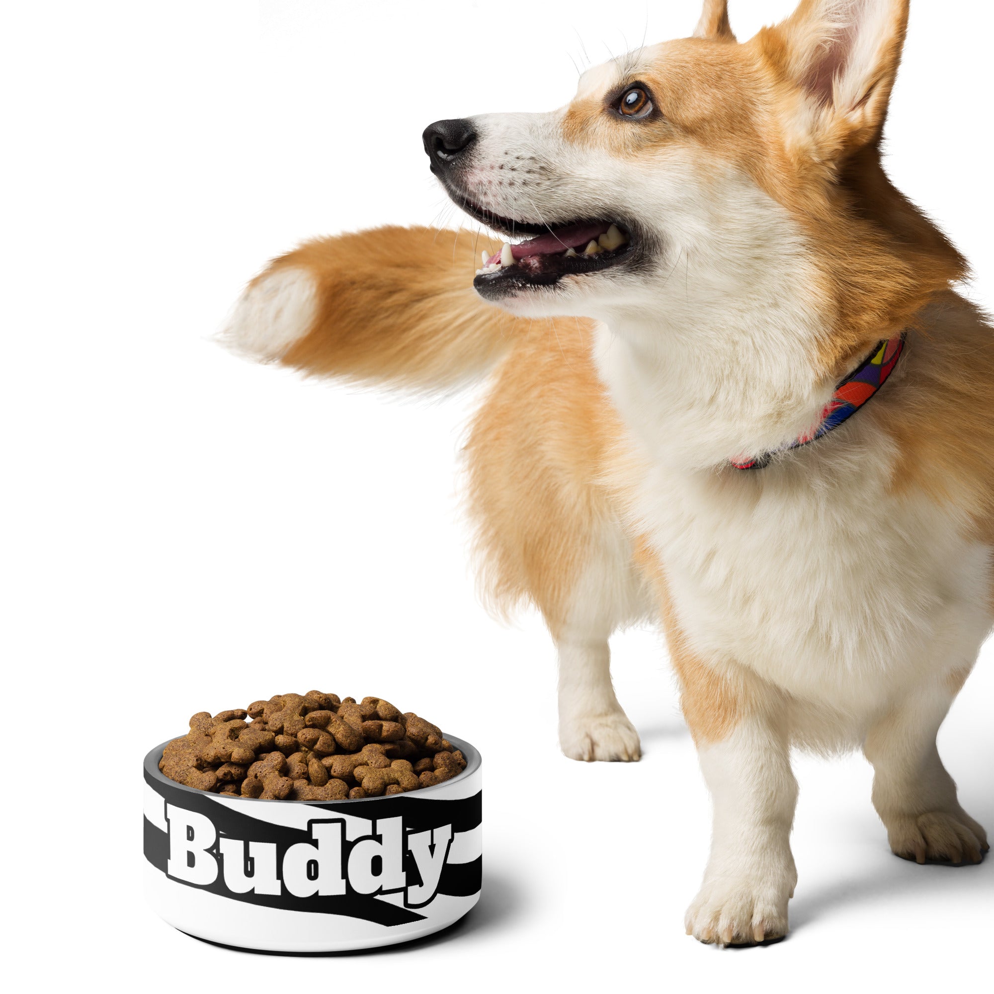 Personalized Pet Bowl, Black and White