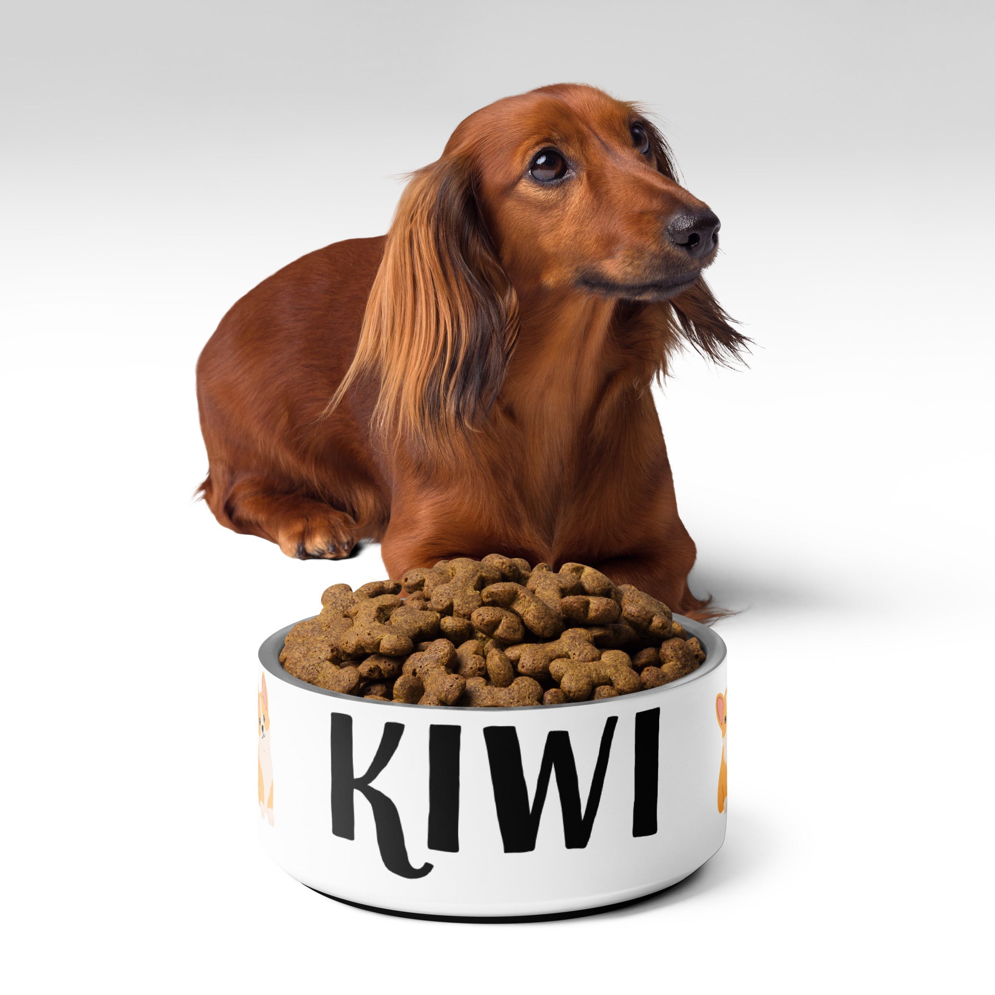 Personalized Pet Bowl with Your Pet's Image or Cartoon on the Side