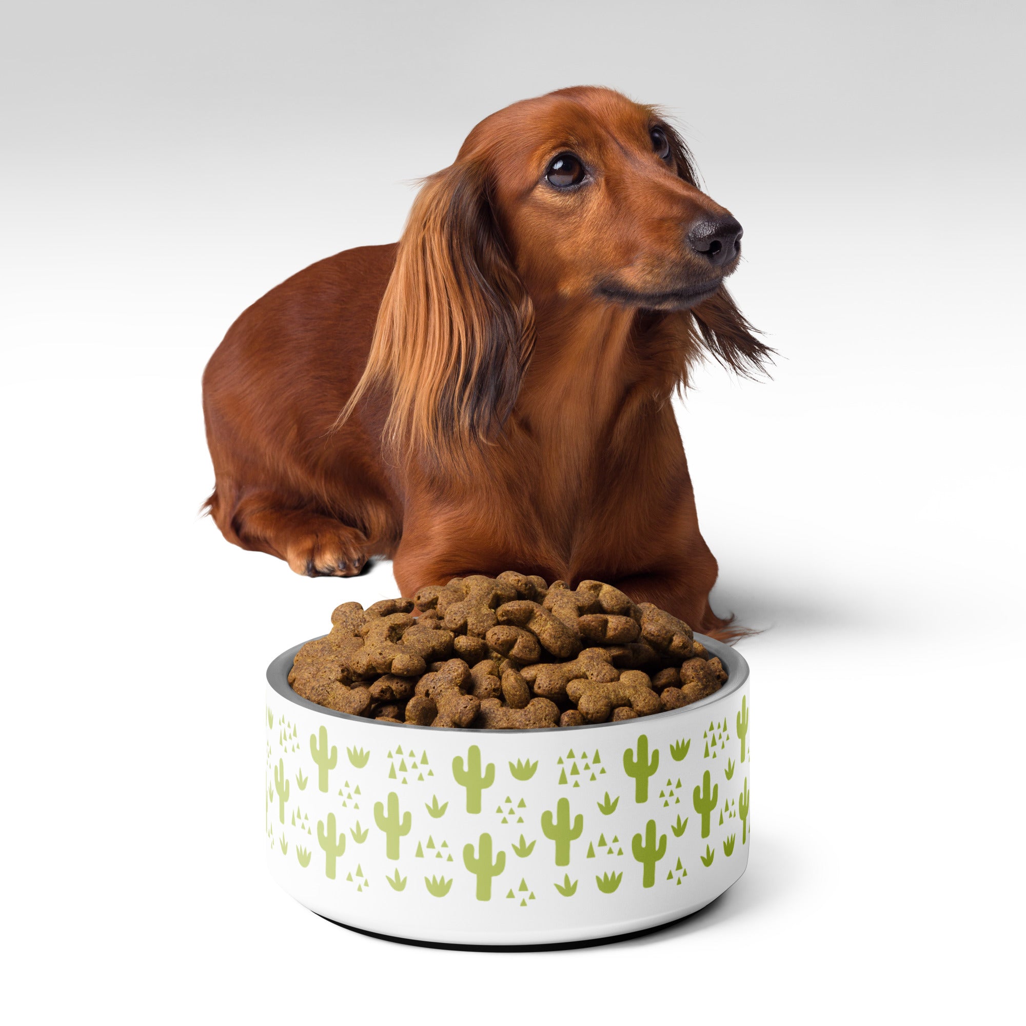 Cactus Pet Bowl, It's Personalizable!