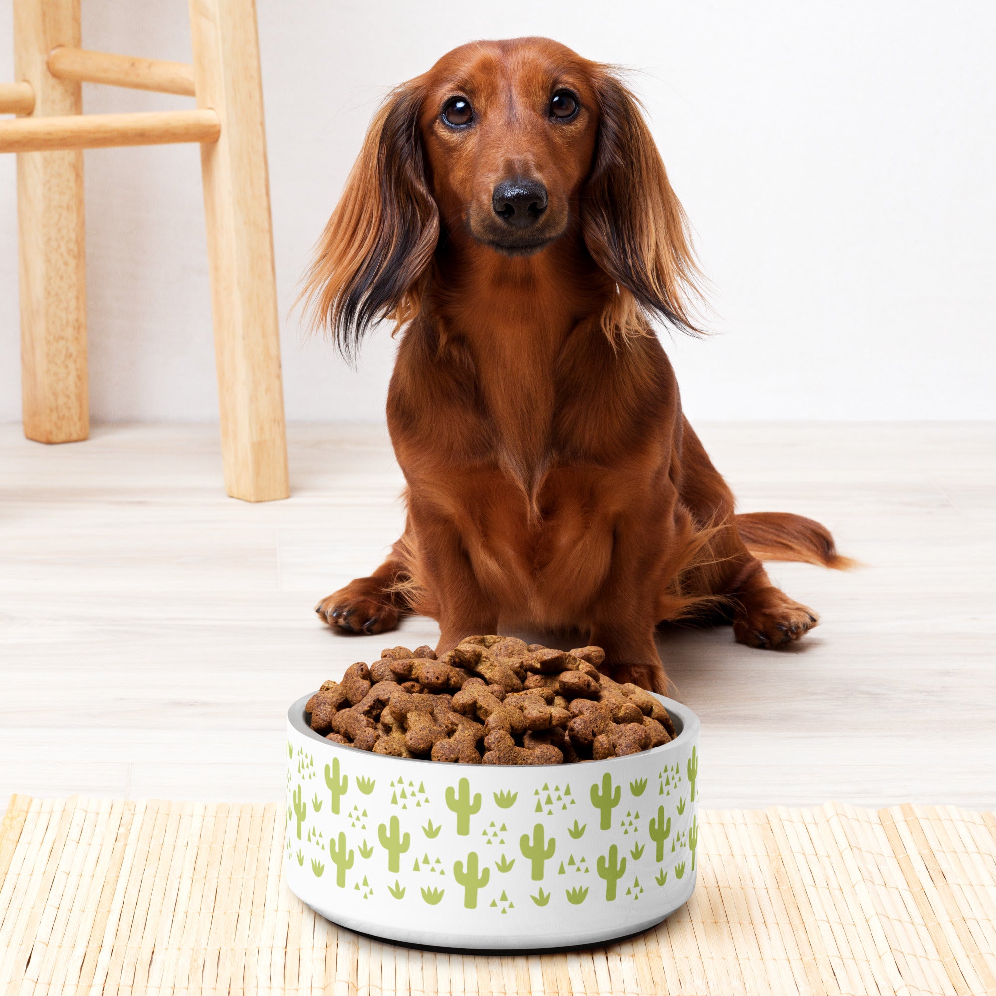 Cactus Pet Bowl, It's Personalizable!