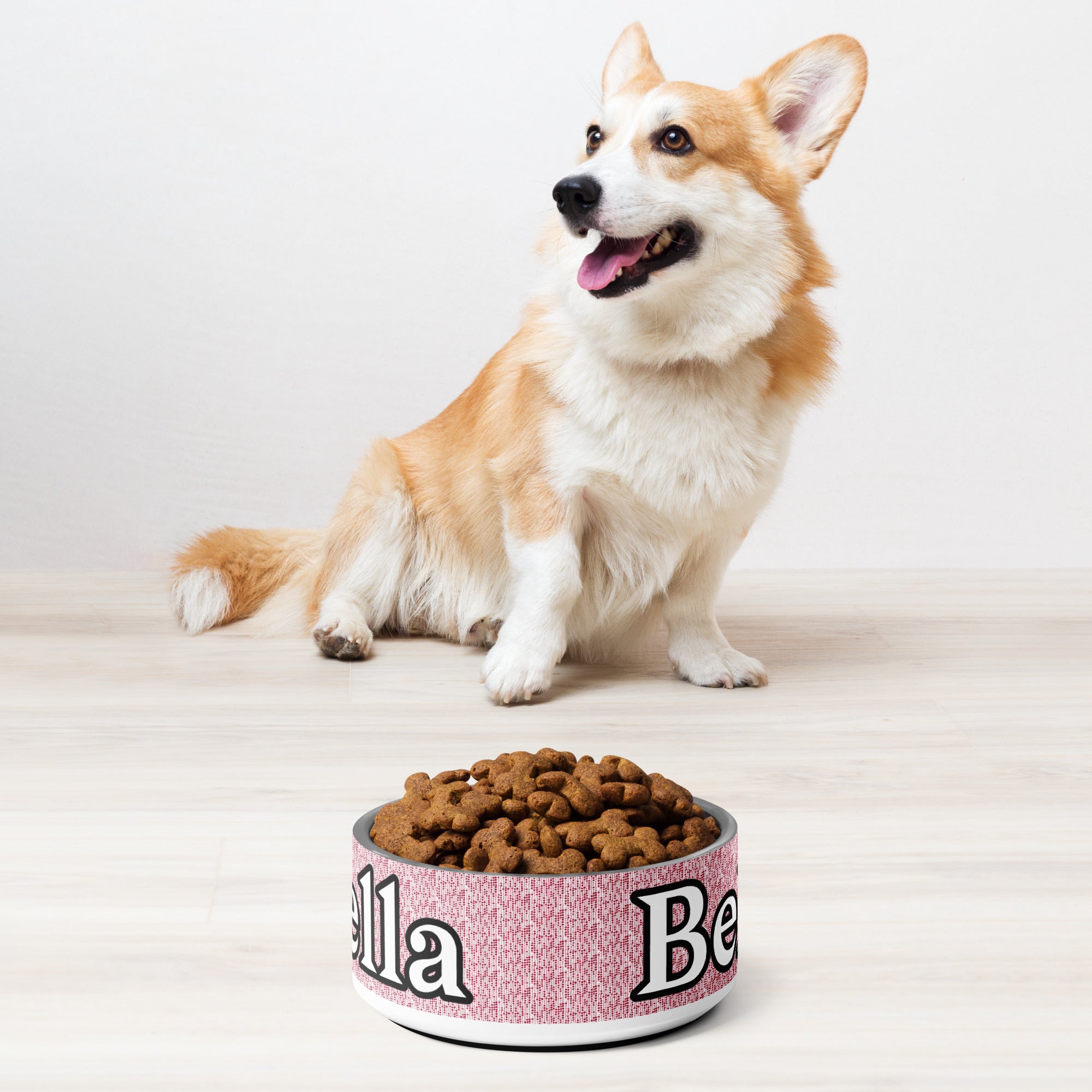 Personalized Holiday Pet Bowl