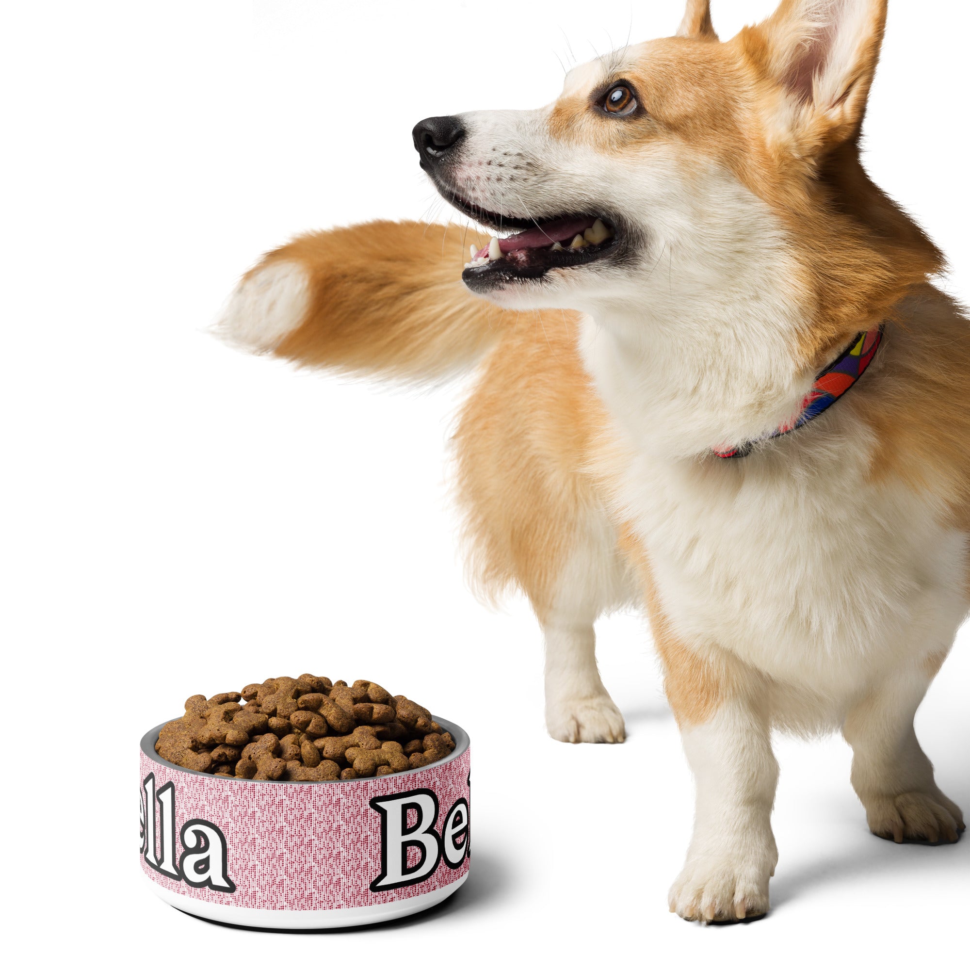 Personalized Holiday Pet Bowl