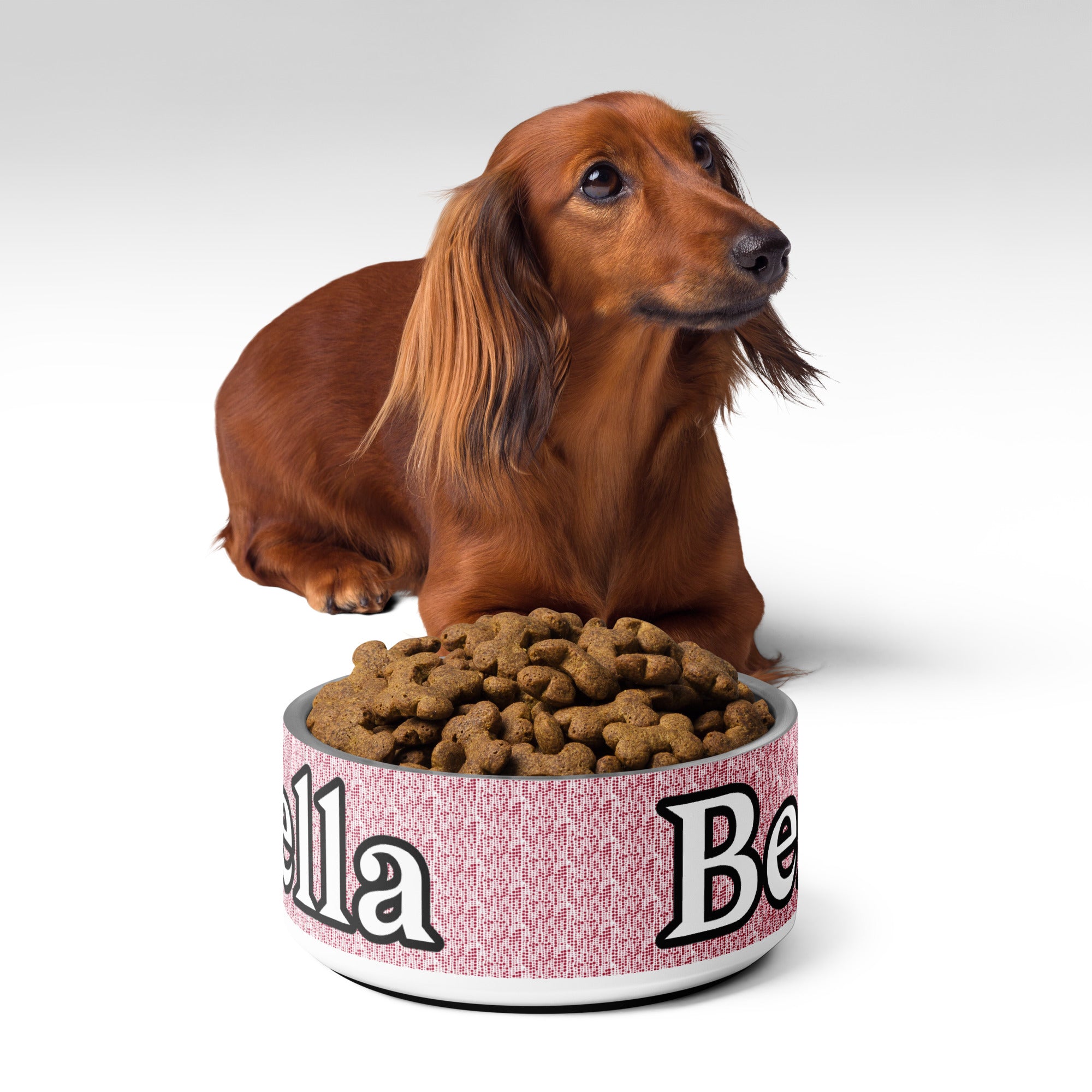 Personalized Holiday Pet Bowl