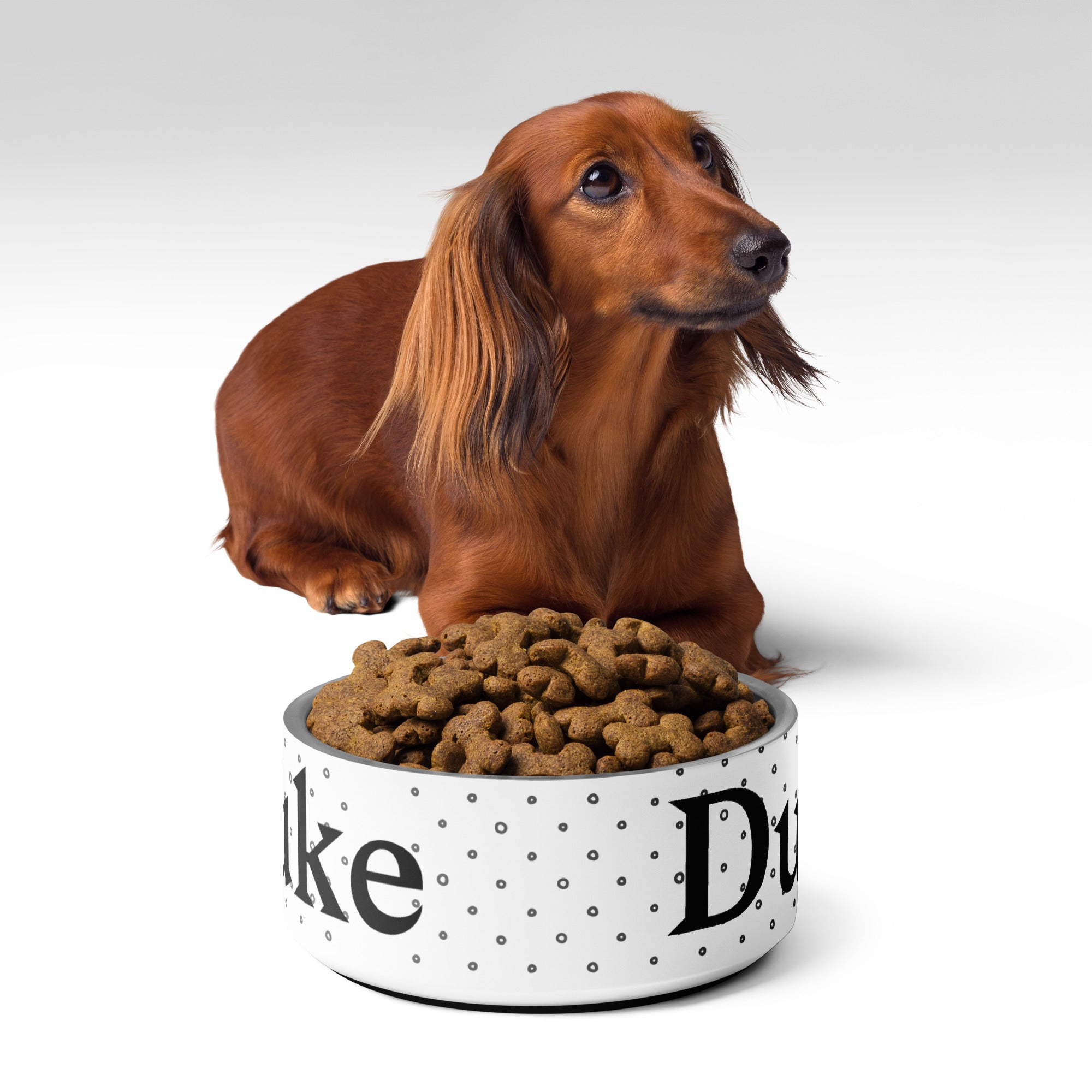 Personalized Pet Bowl