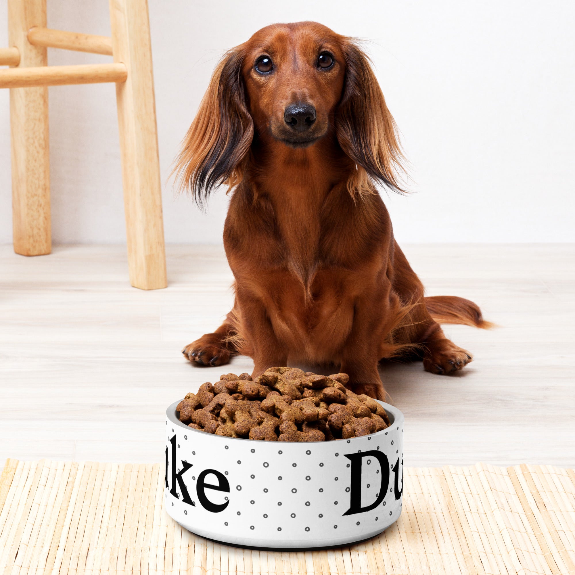 Personalized Pet Bowl