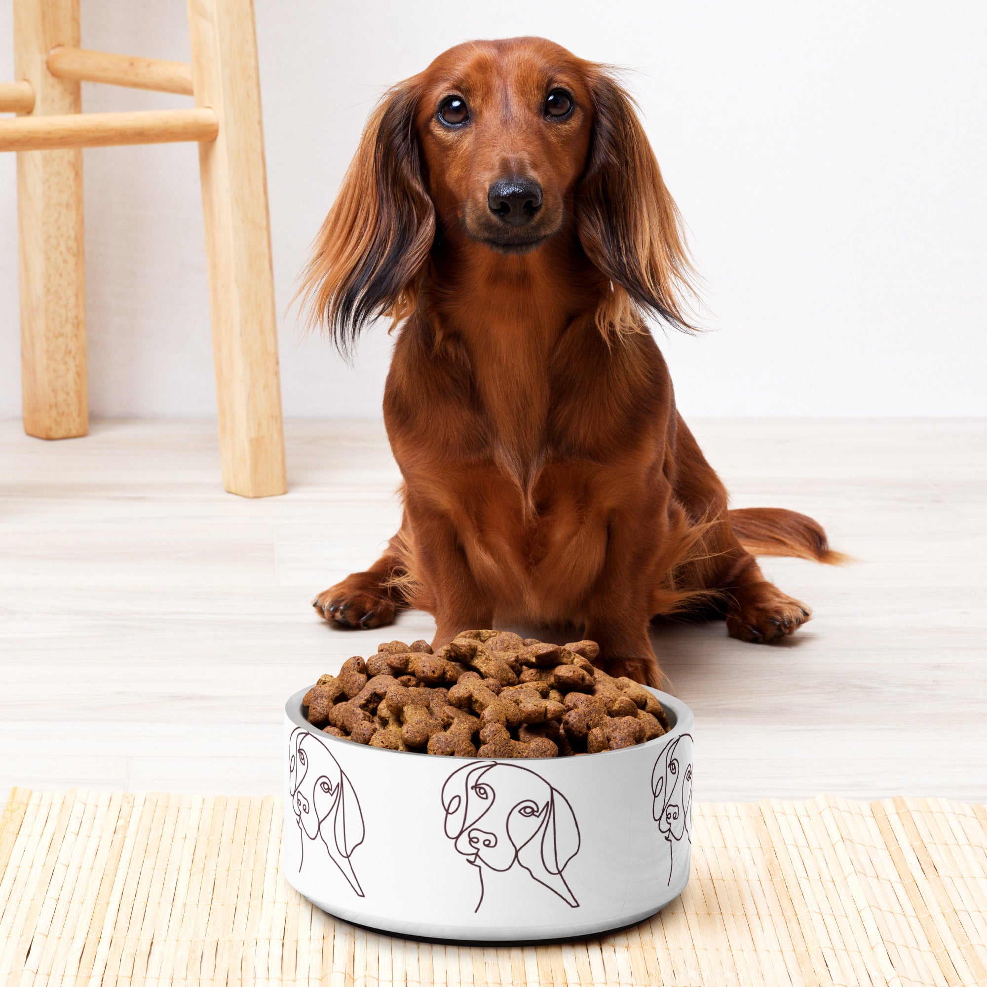 Custom Line Drawing of Your Pet on a Bowl