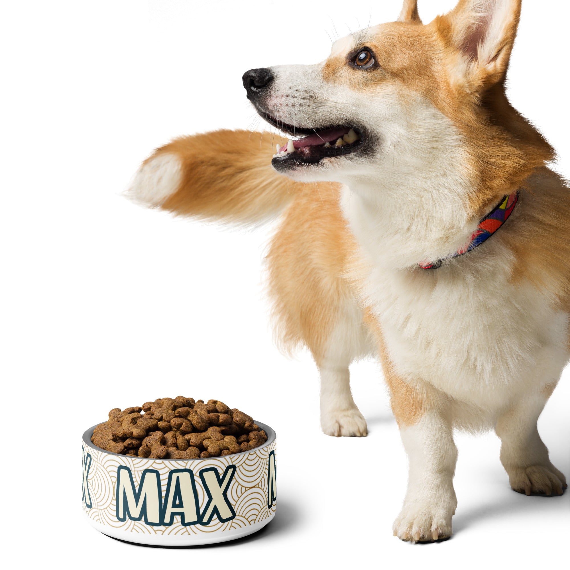 Minimalist Design Personalized Pet Bowl for Max! Add your pet's name.