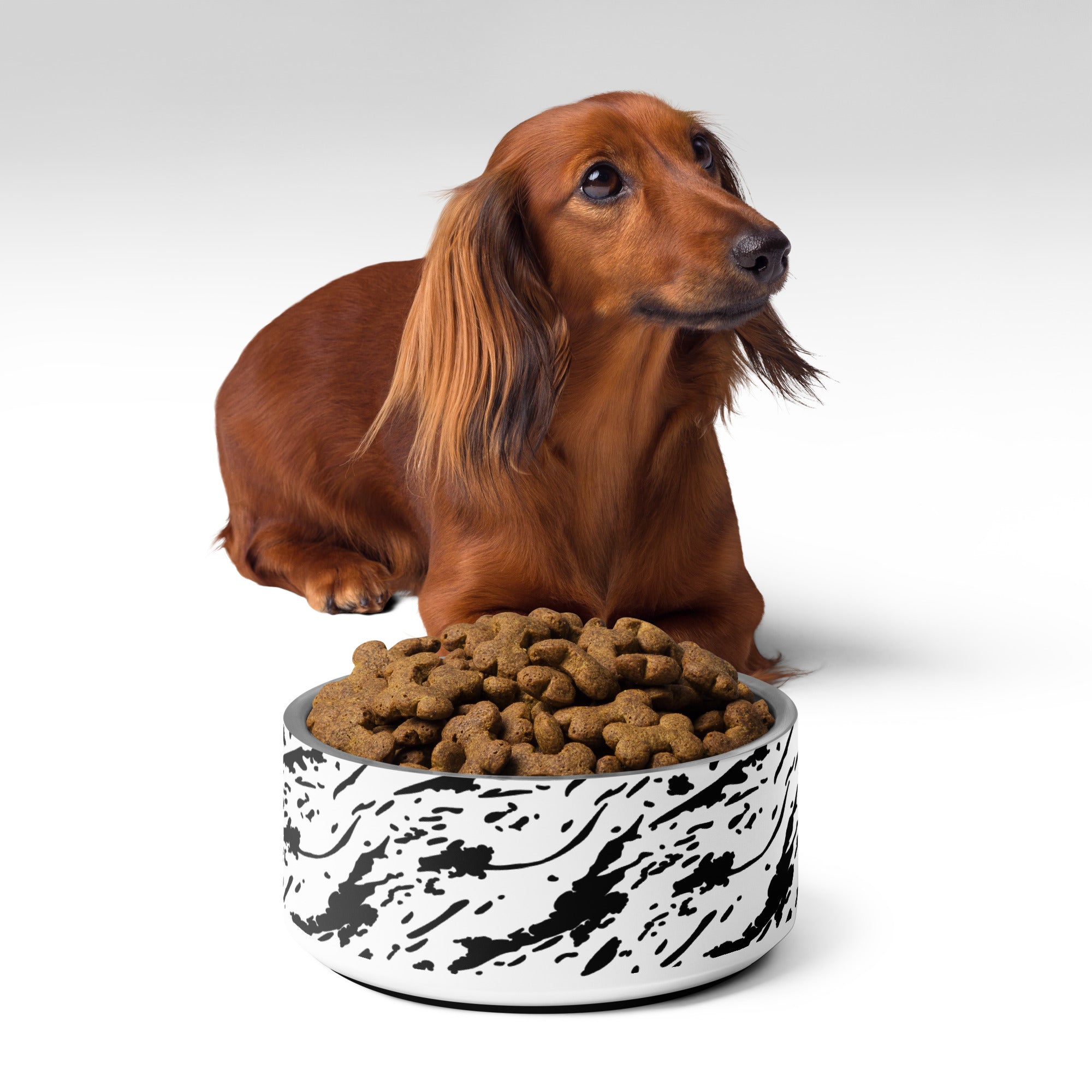 Windswept Black and White Pet Bowl