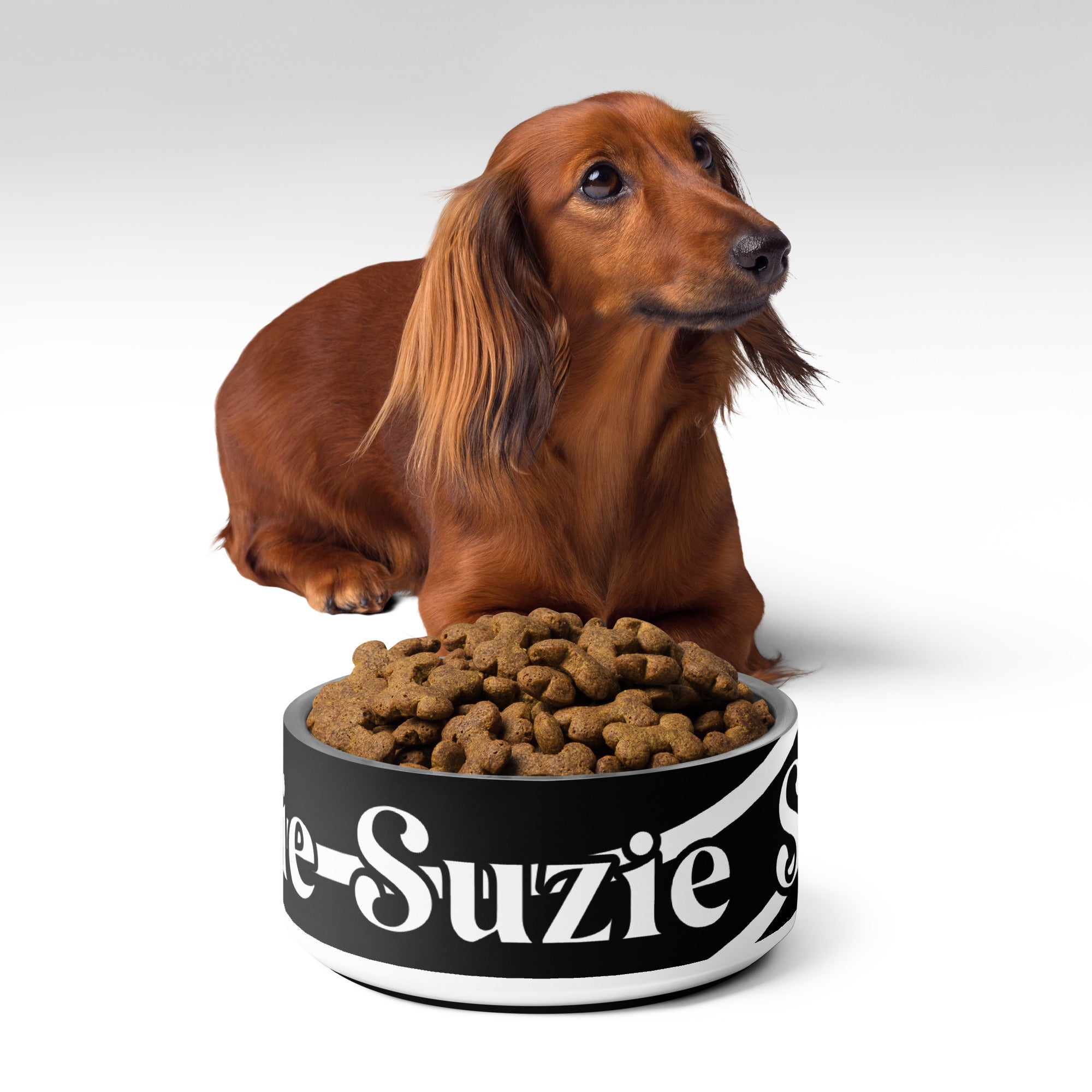 Black and White Sash Personalized Pet Bowl