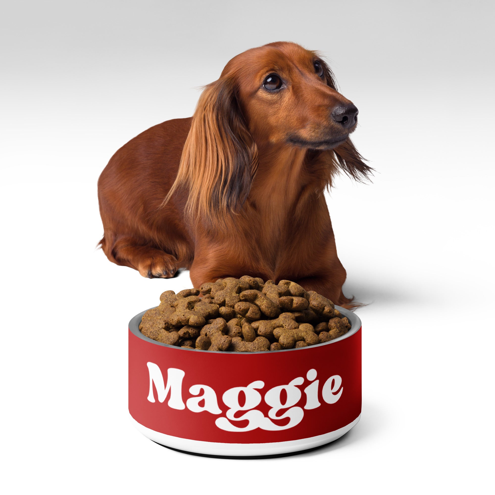 Christmas Holiday Red Personalized Pet Bowl