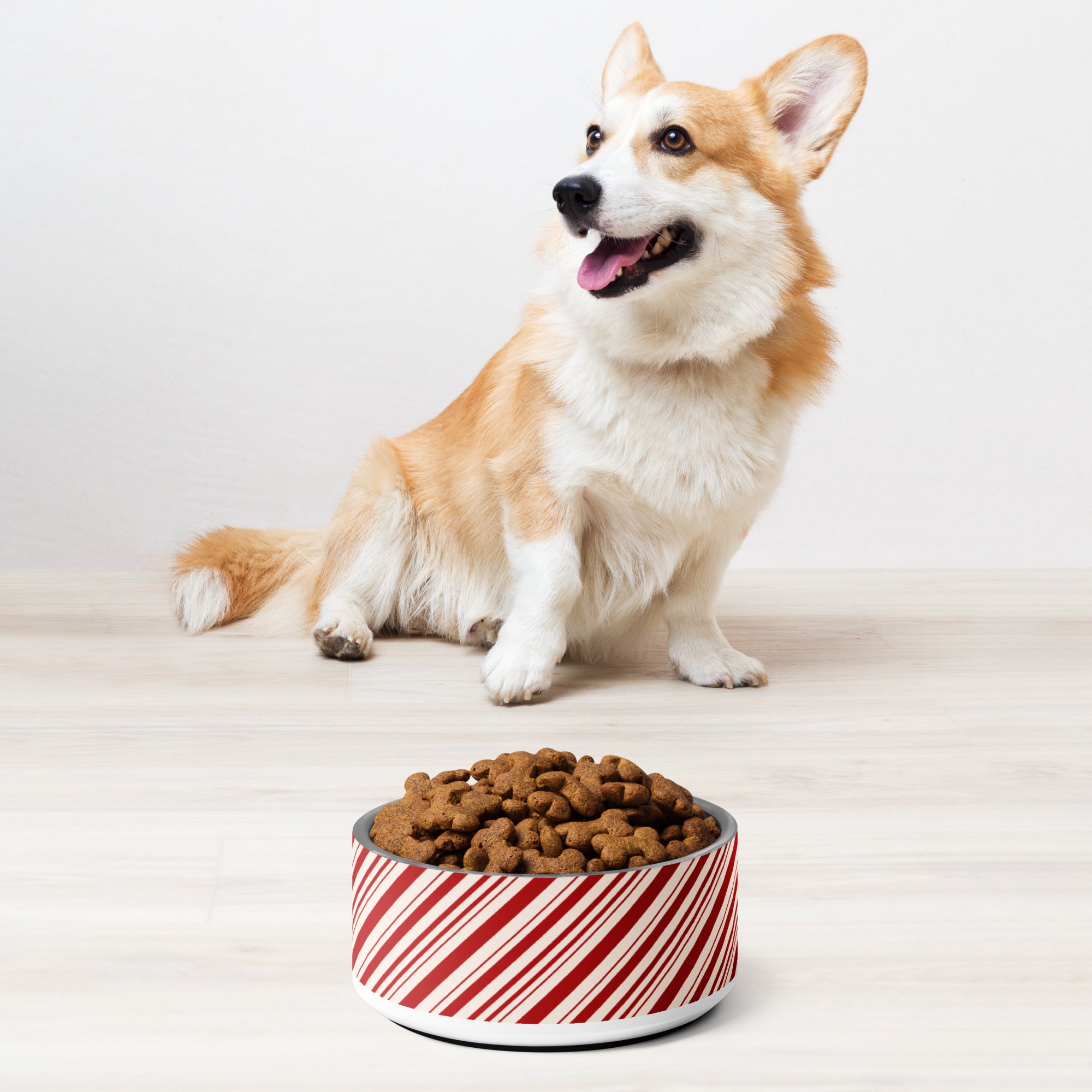 Christmas Candy Cane Striped Pet bowl