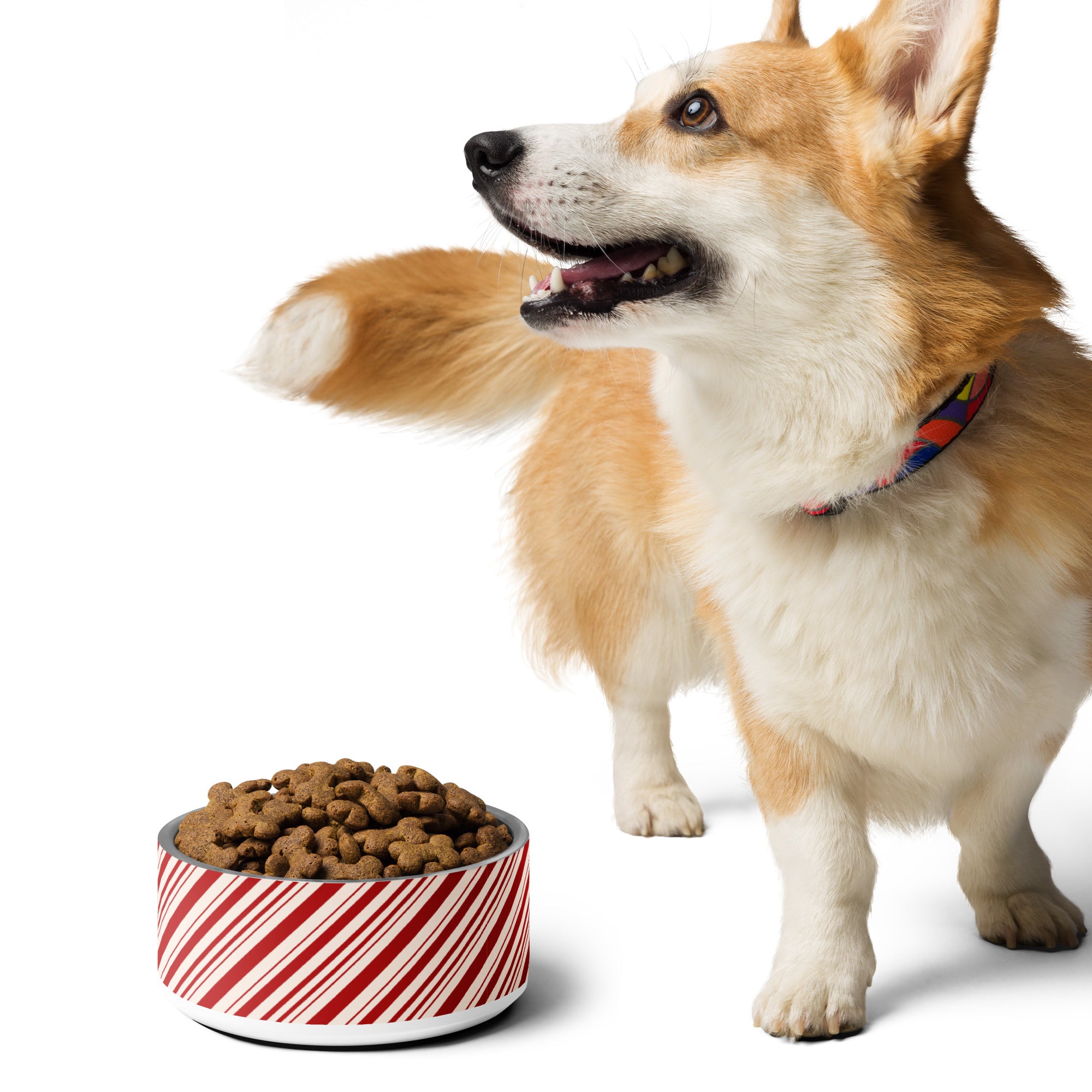 Christmas Candy Cane Striped Pet bowl