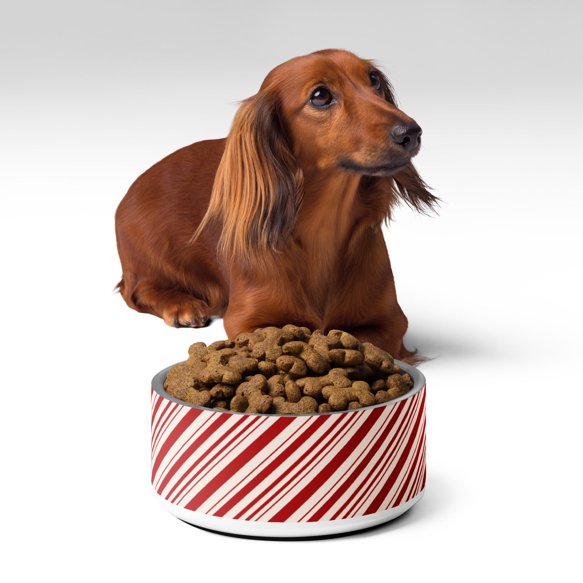 Christmas Candy Cane Striped Pet bowl