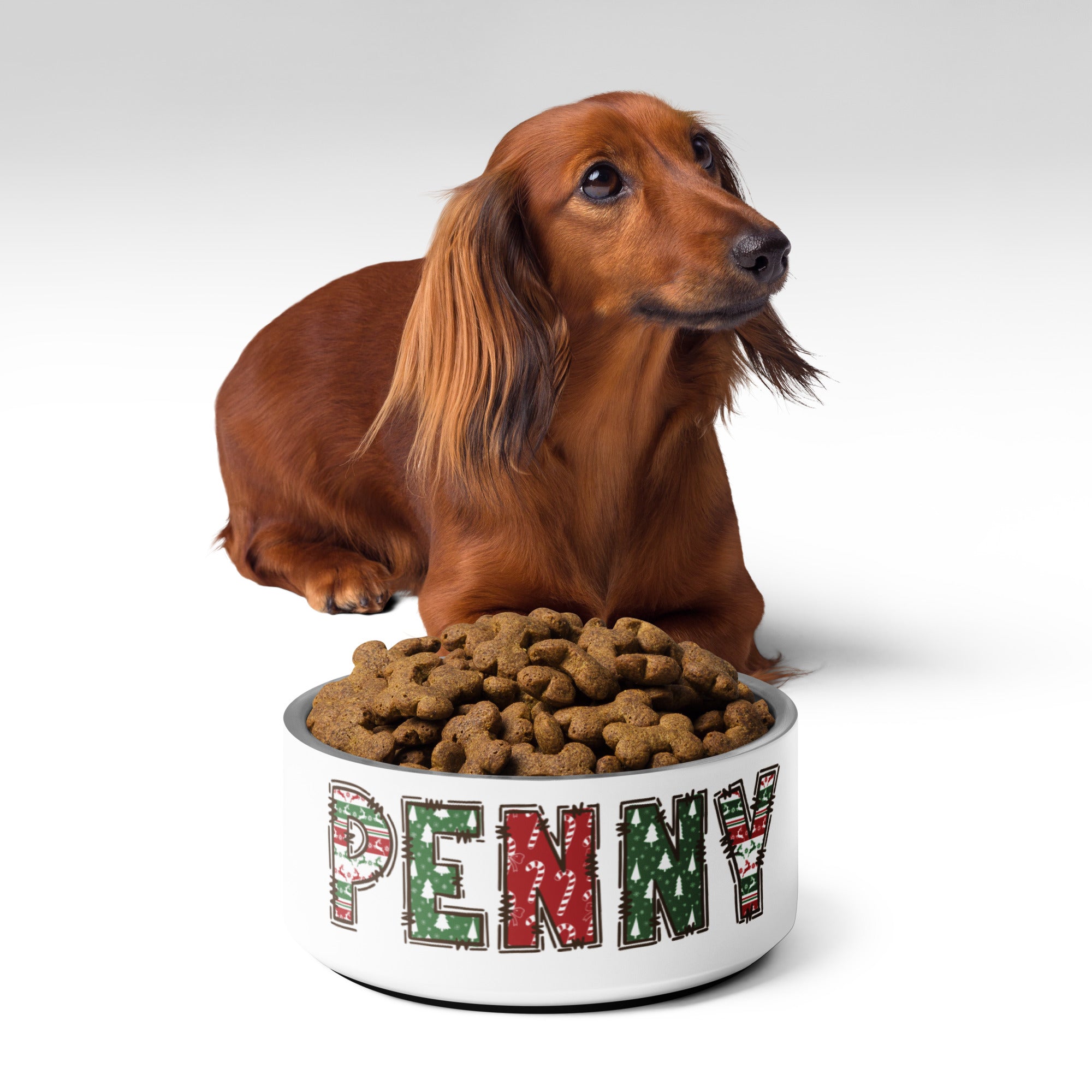 Christmas Letters Pet bowl