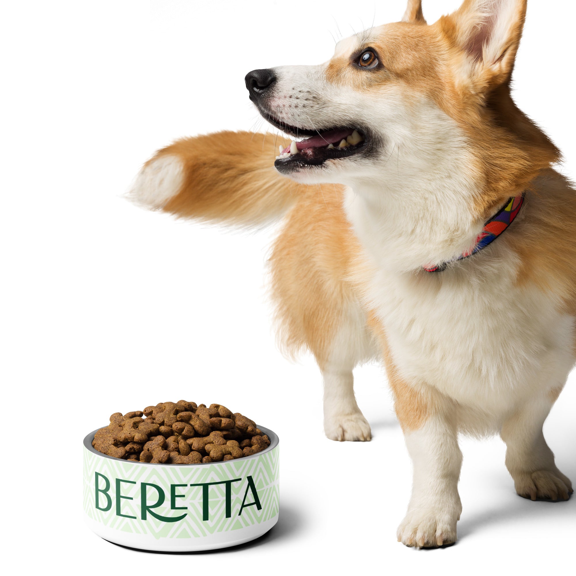 Minty Green Personalized Pet bowl