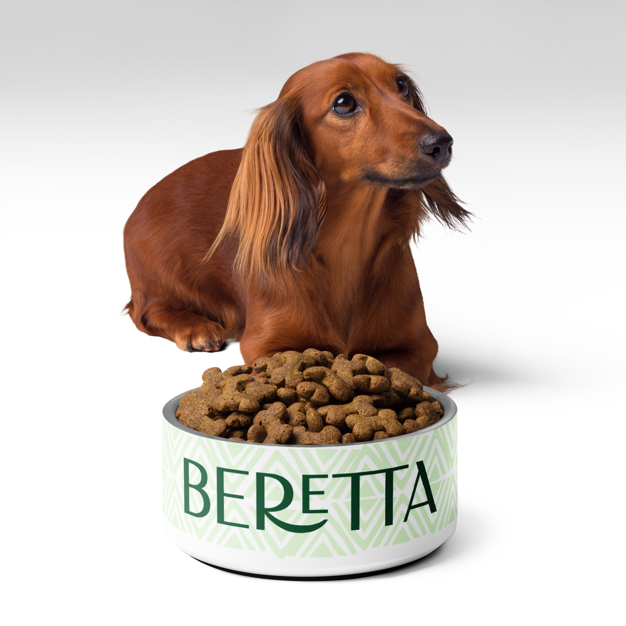 Minty Green Personalized Pet bowl