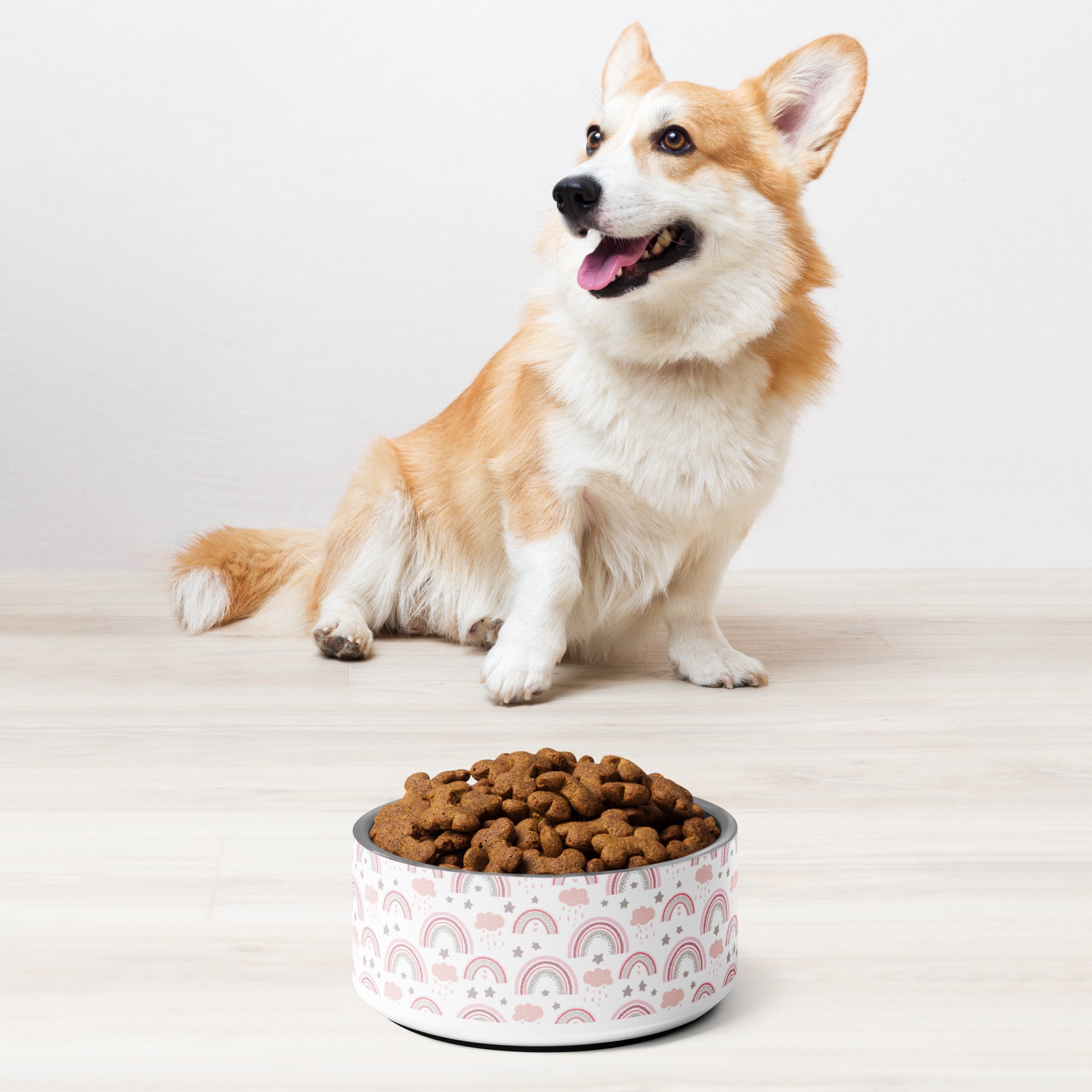 Rainbow Pet bowl