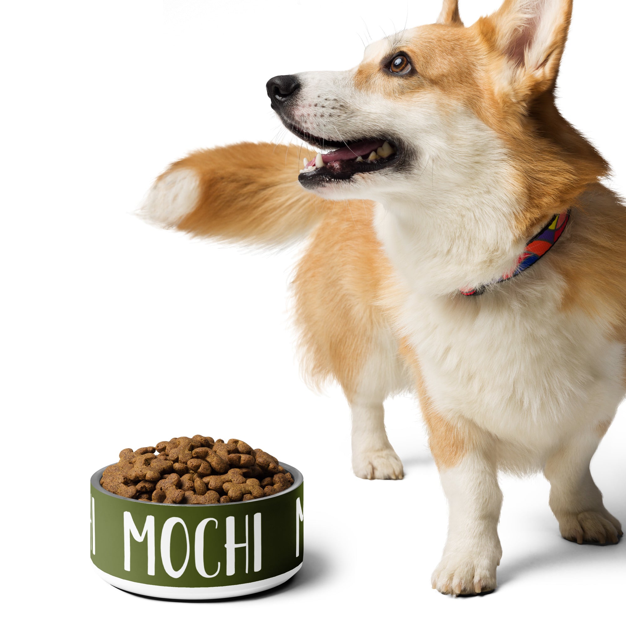 Fir Tree Green Personalized Pet bowl