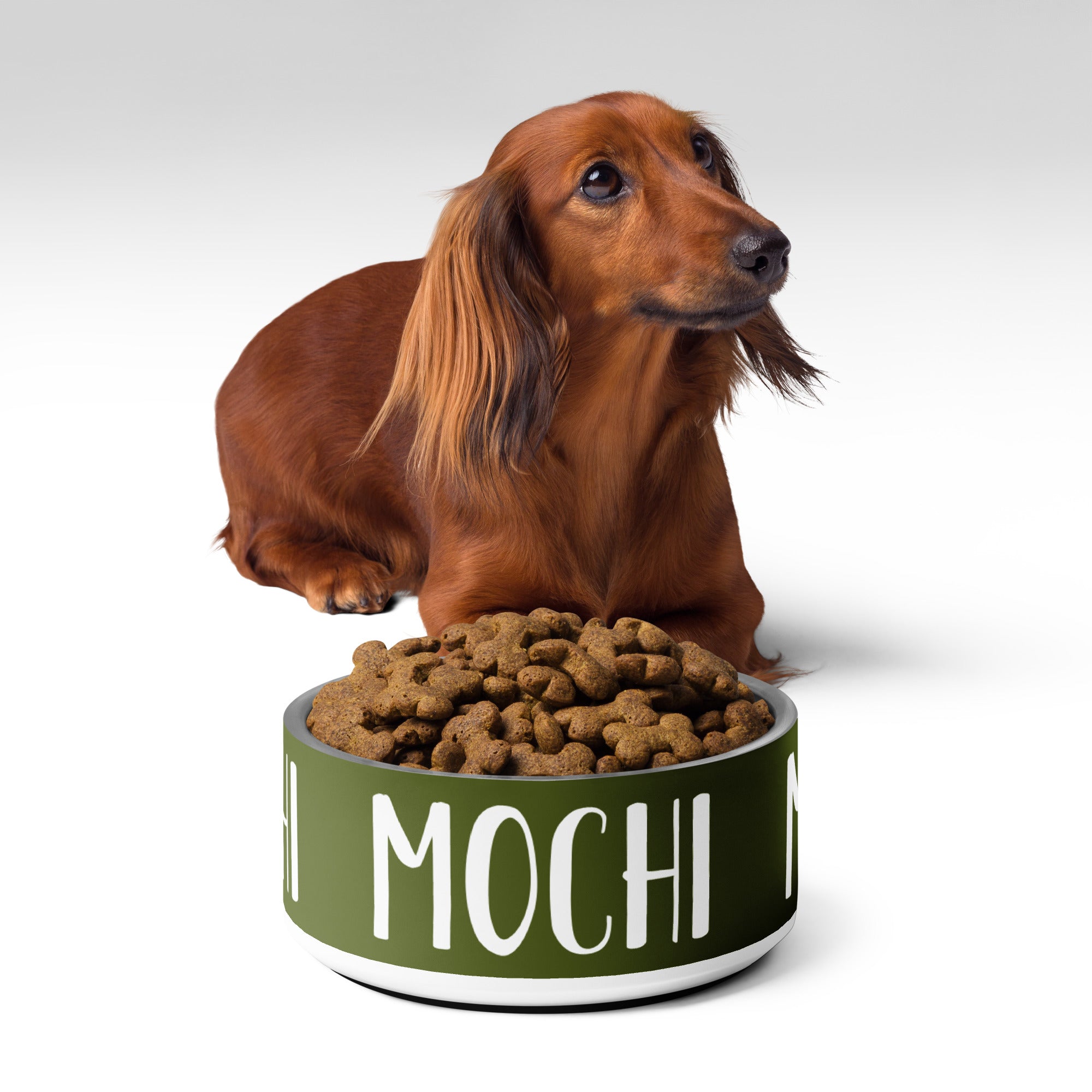 Fir Tree Green Personalized Pet bowl