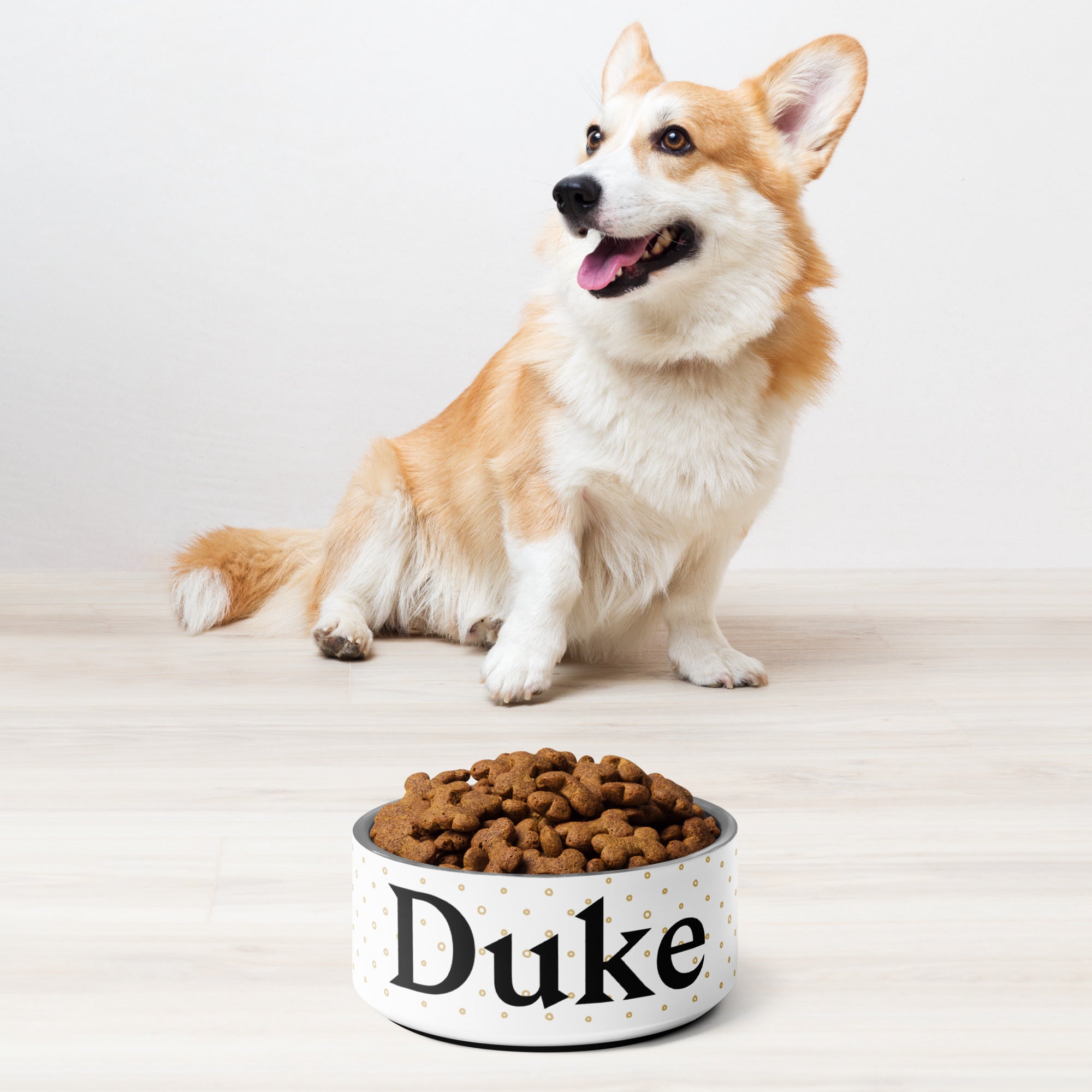 Minimalist Dots Personalized Pet bowl