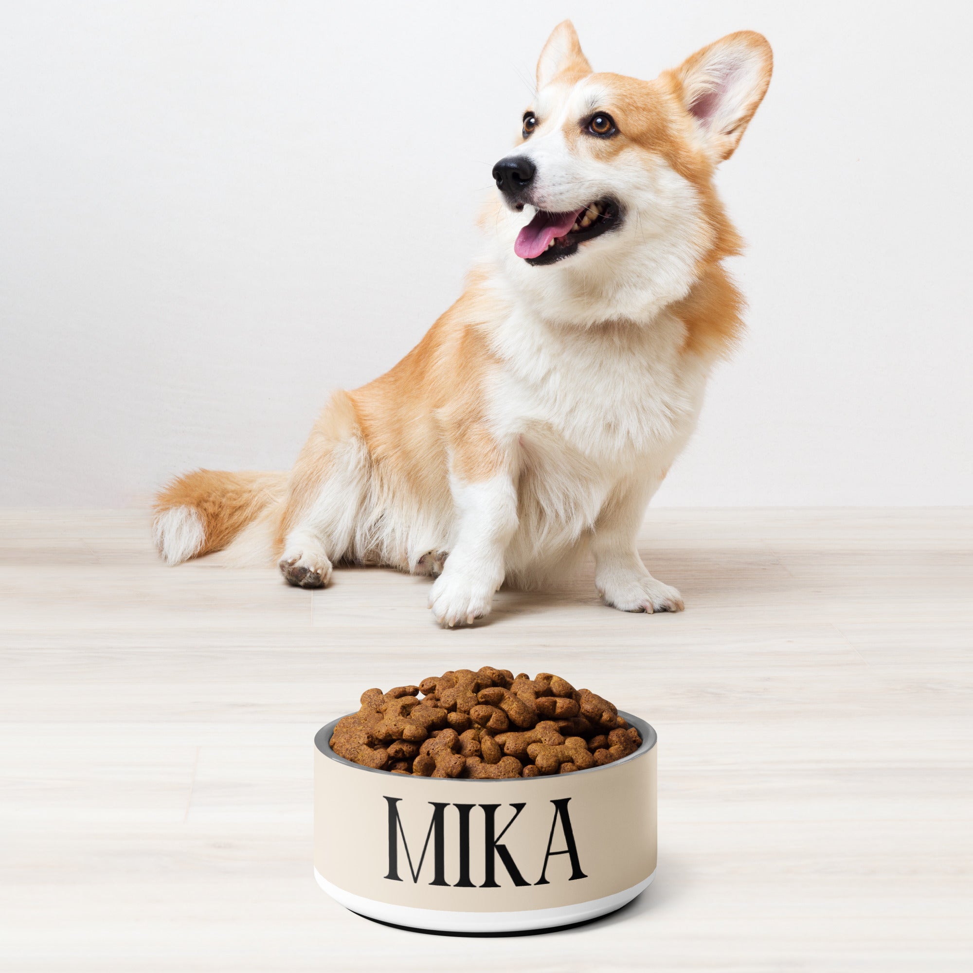 Minimalist Neutral Colors Personalized Pet bowl