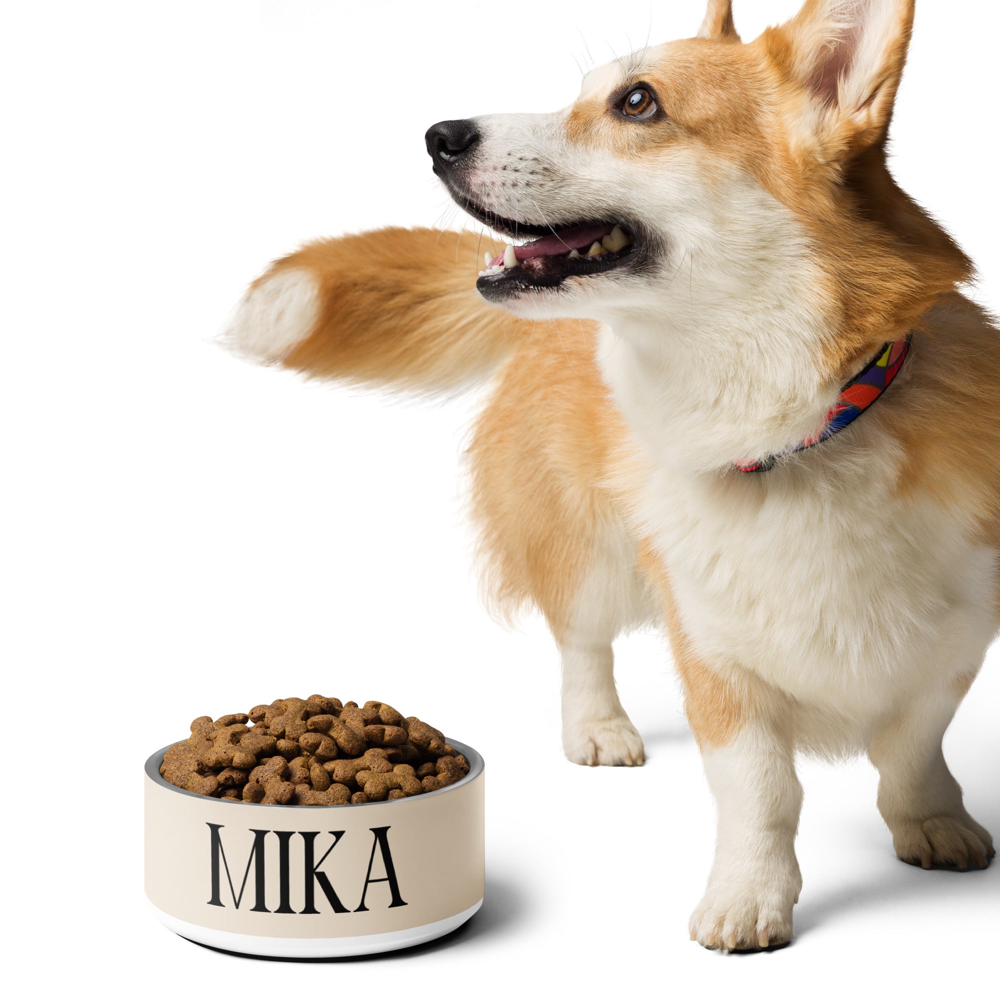 Minimalist Neutral Colors Personalized Pet bowl