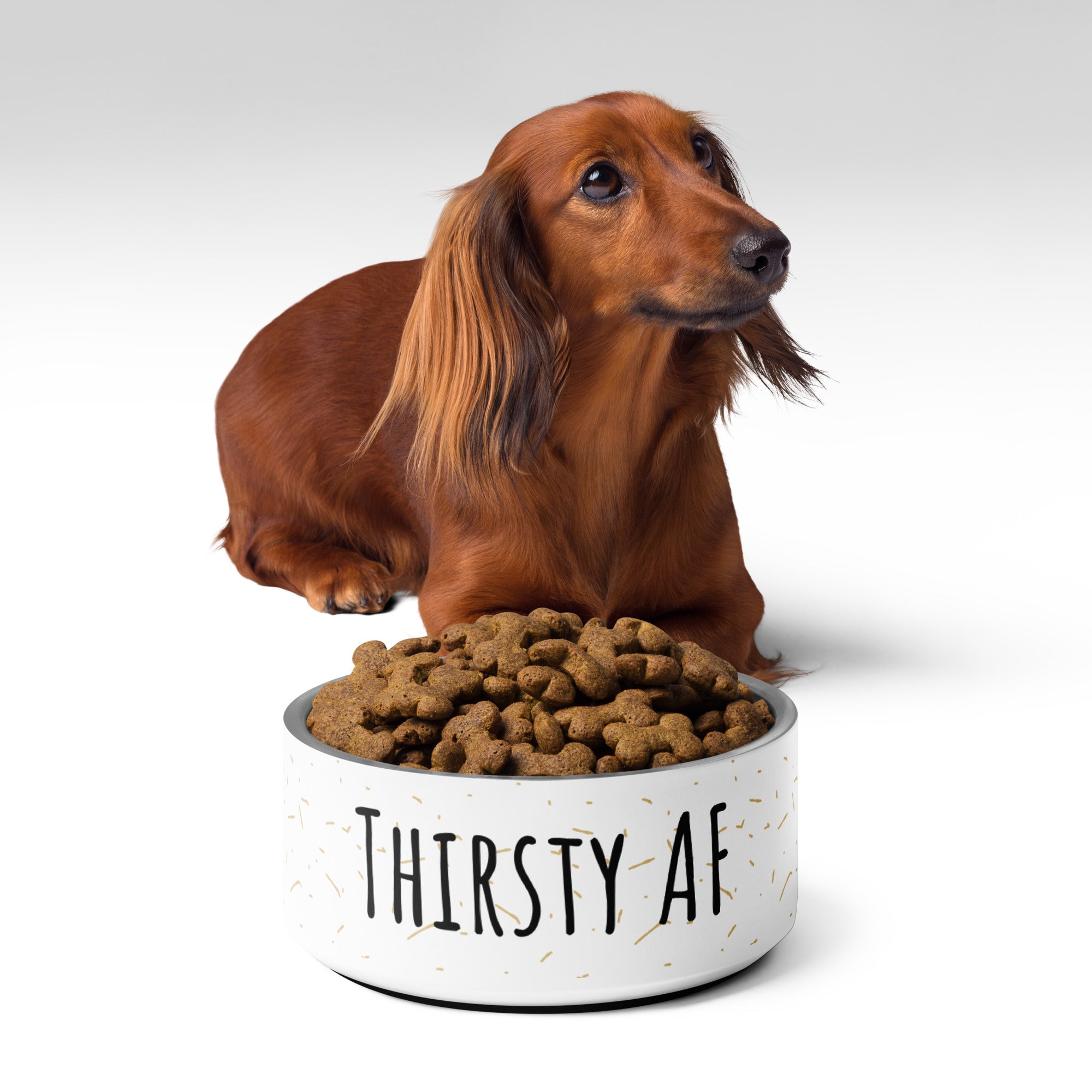 Thirsty Funny Pet bowl Gift