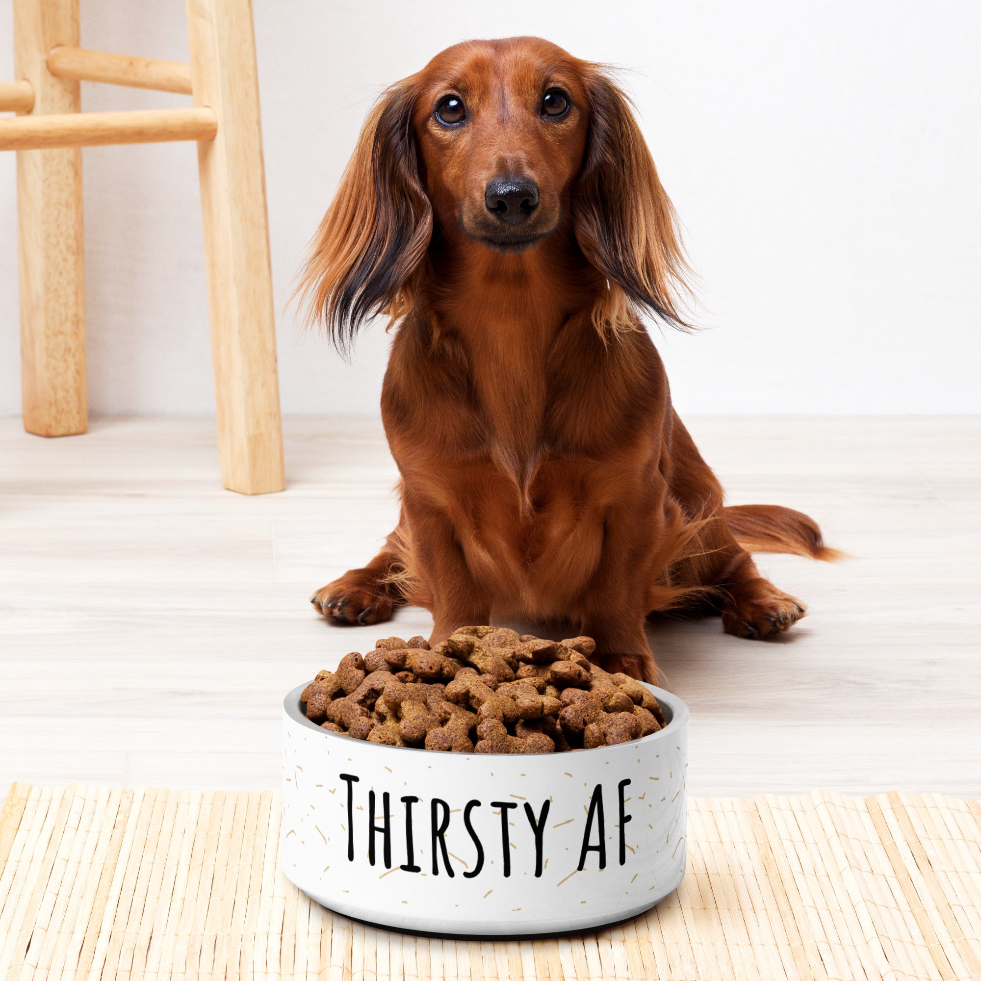 Thirsty Funny Pet bowl Gift