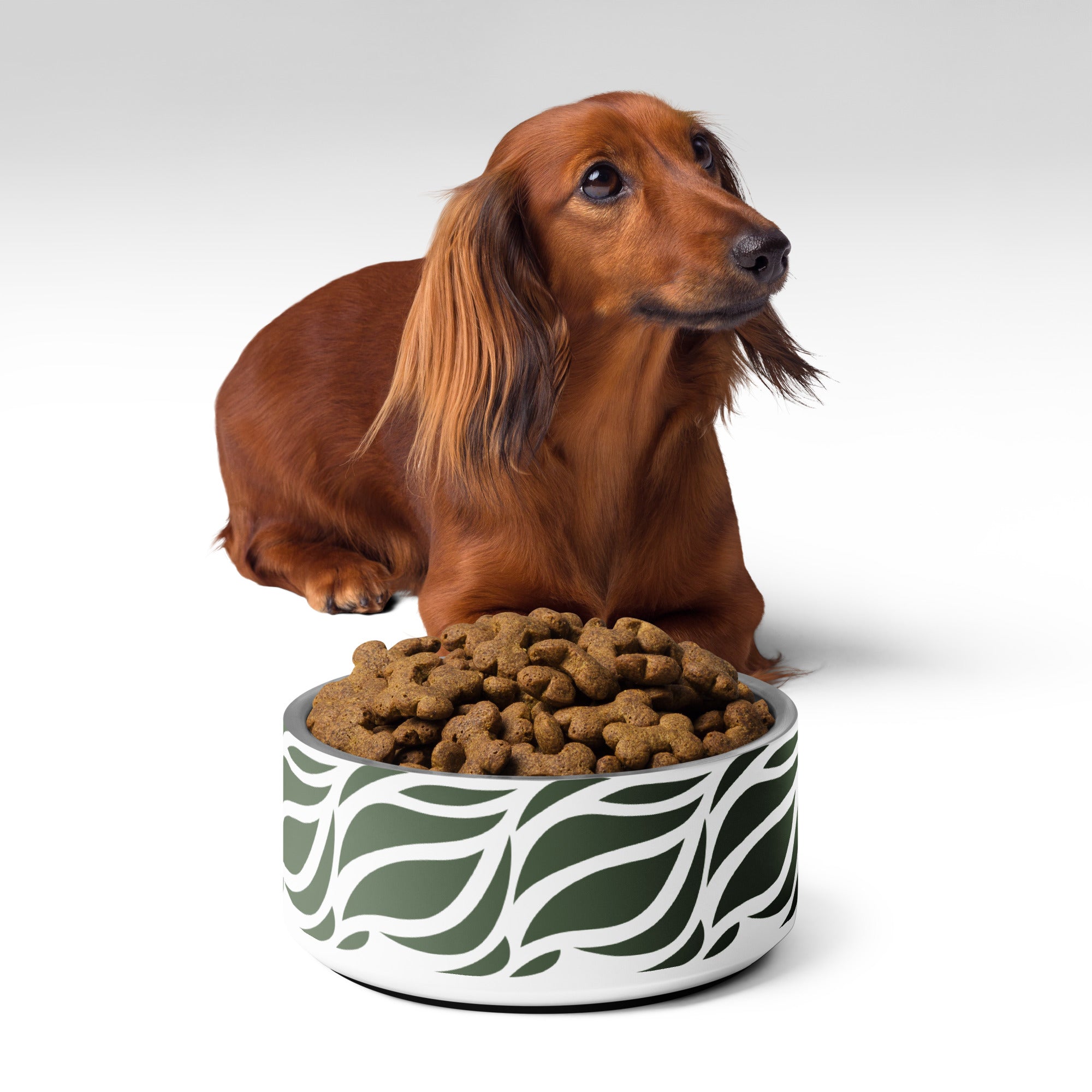 Green Abstract Leaves Pet bowl