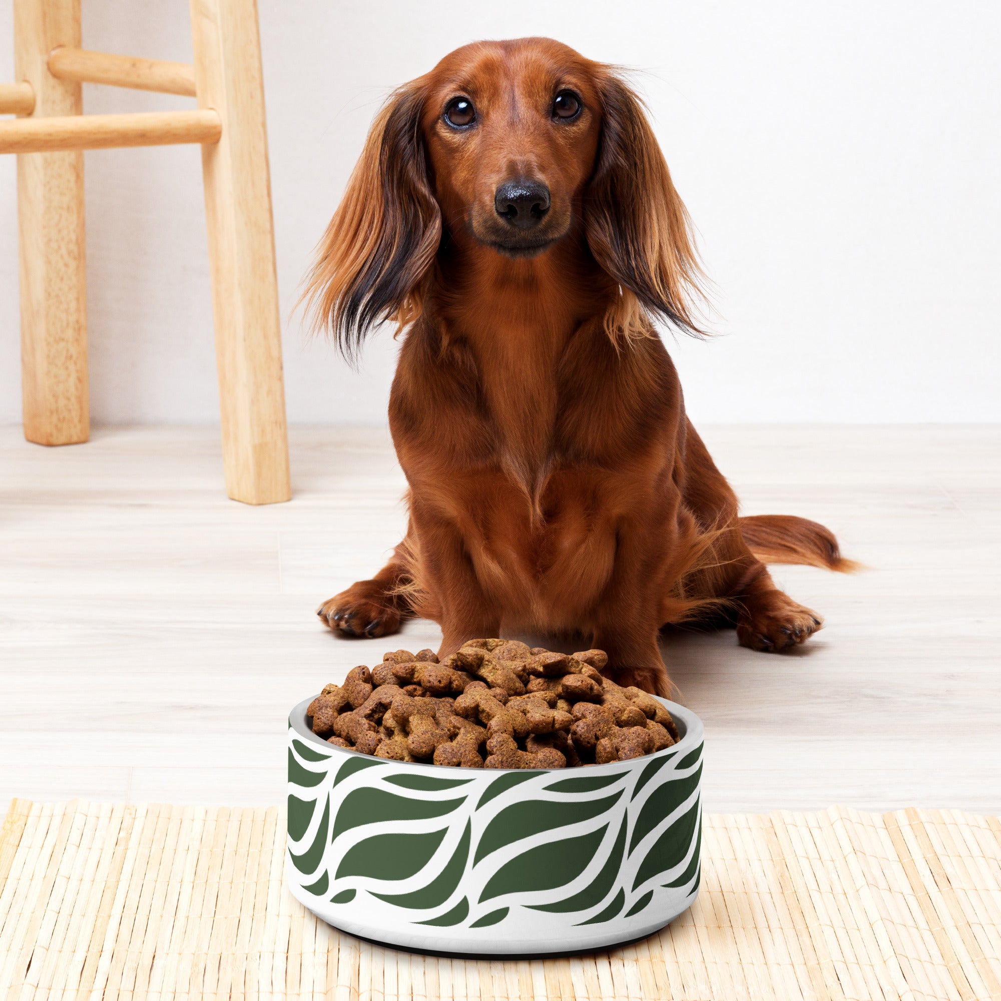 Green Abstract Leaves Pet bowl