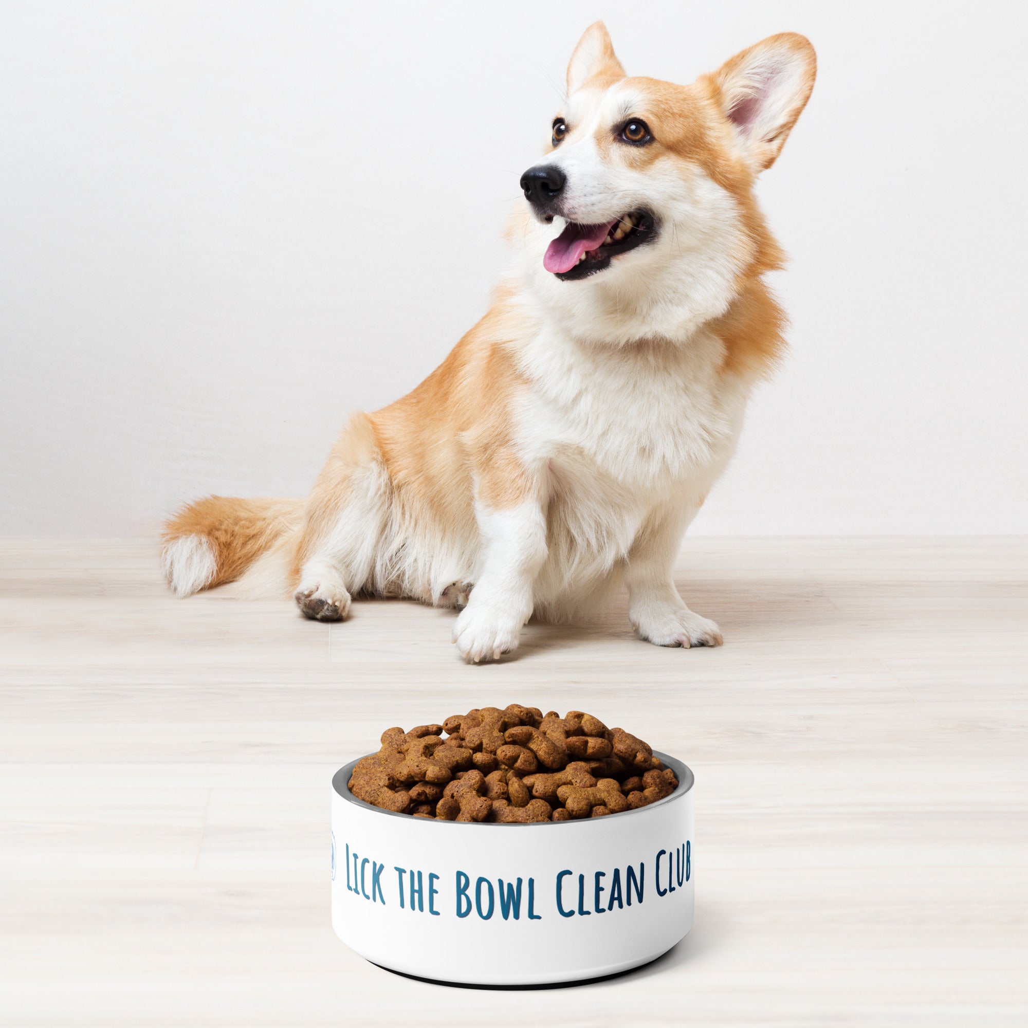 Lick the Bowl Clean Club Pet bowl