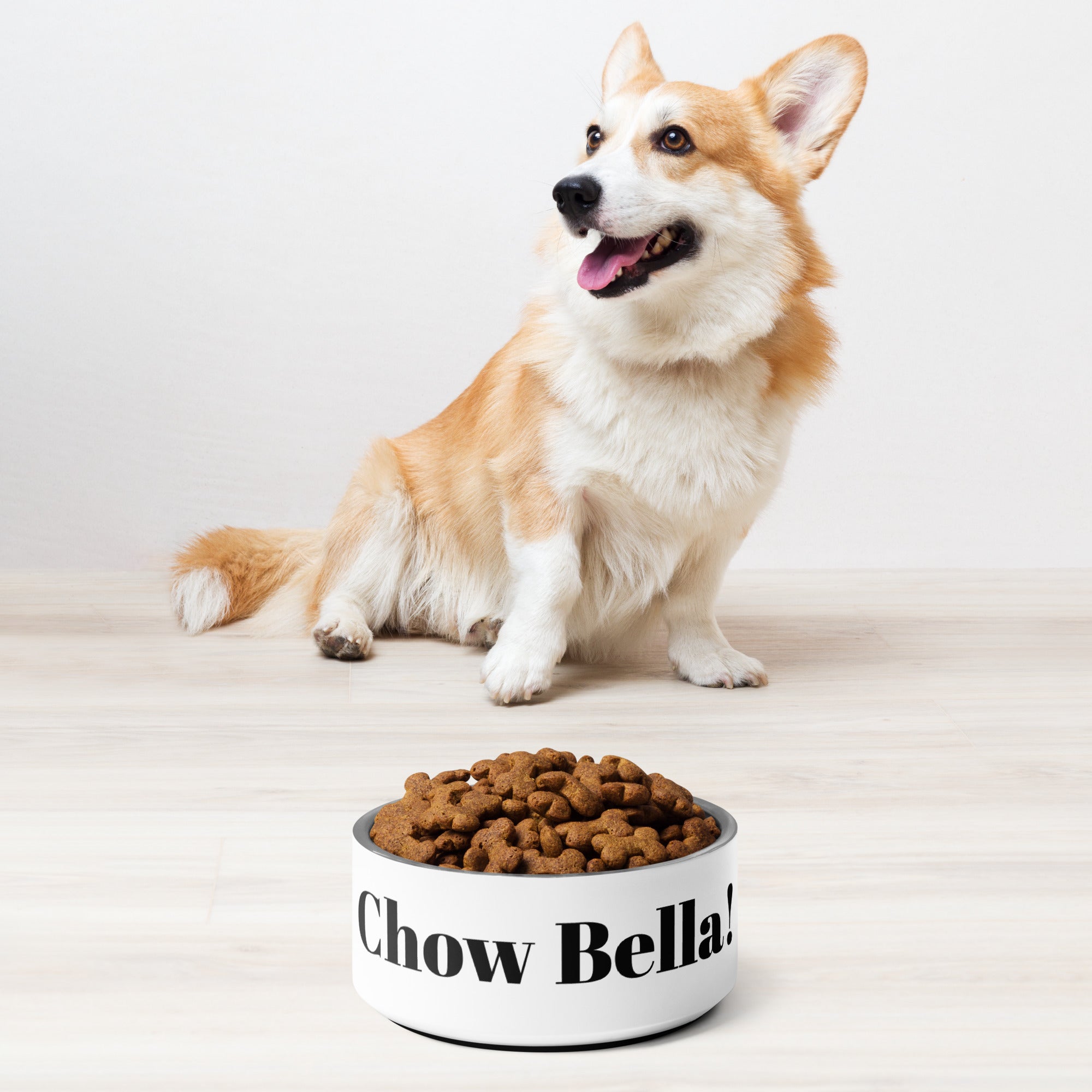 Chow Bella Dog Pet bowl